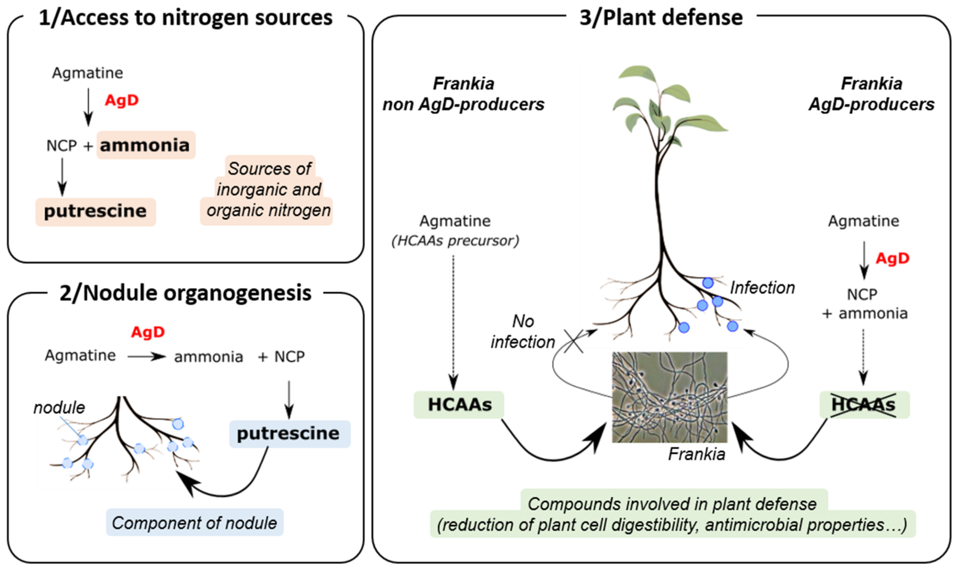 Genes 14 00530 g002 Genes 14 00530 g002