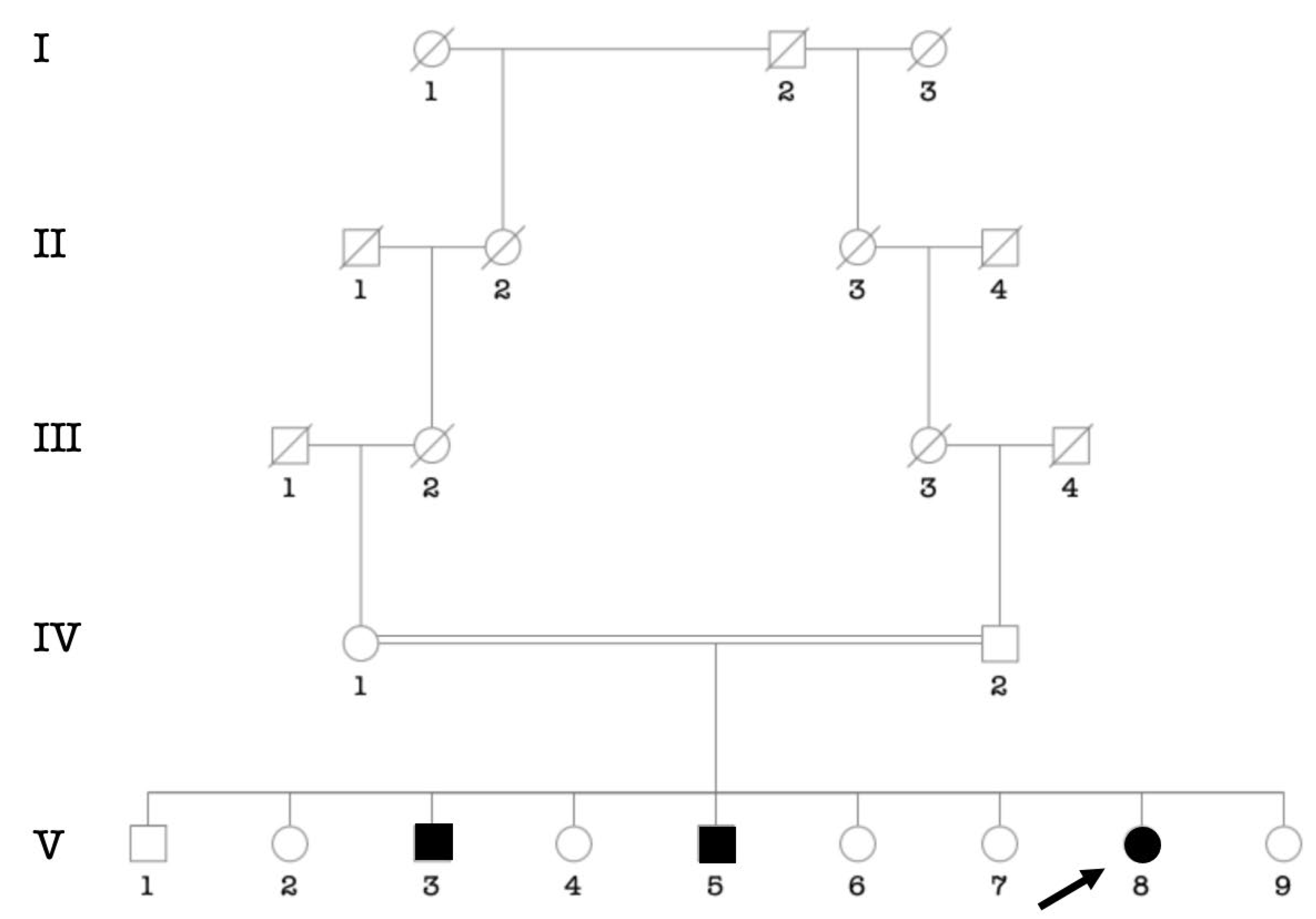 Genes | Free Full-Text | Childhood Hearing Impairment in Senegal