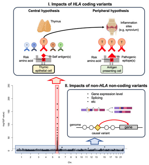 Immune disease risk variants regulate gene expression dynamics