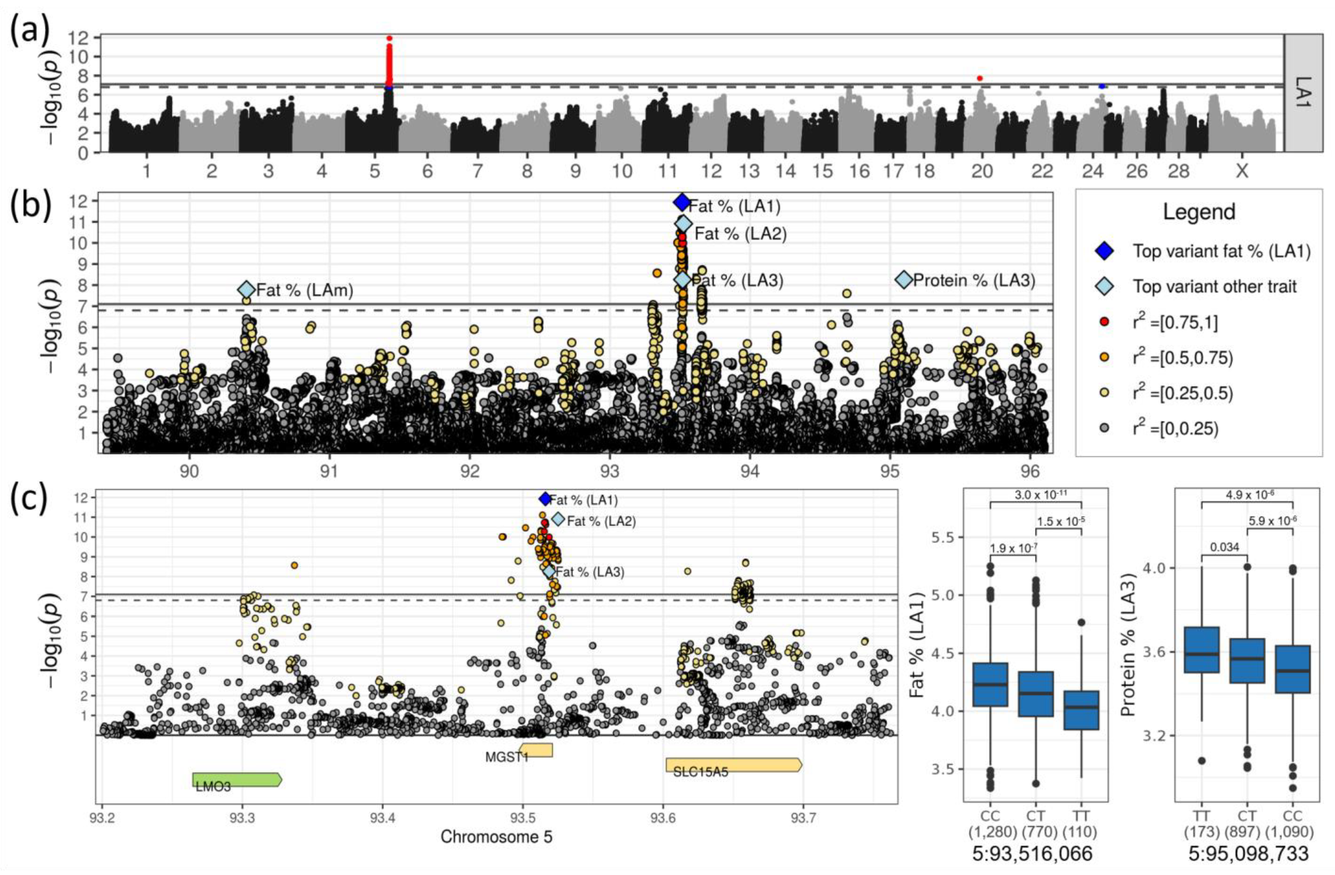 Genes 14 00581 g002 Genes 14 00581 g002
