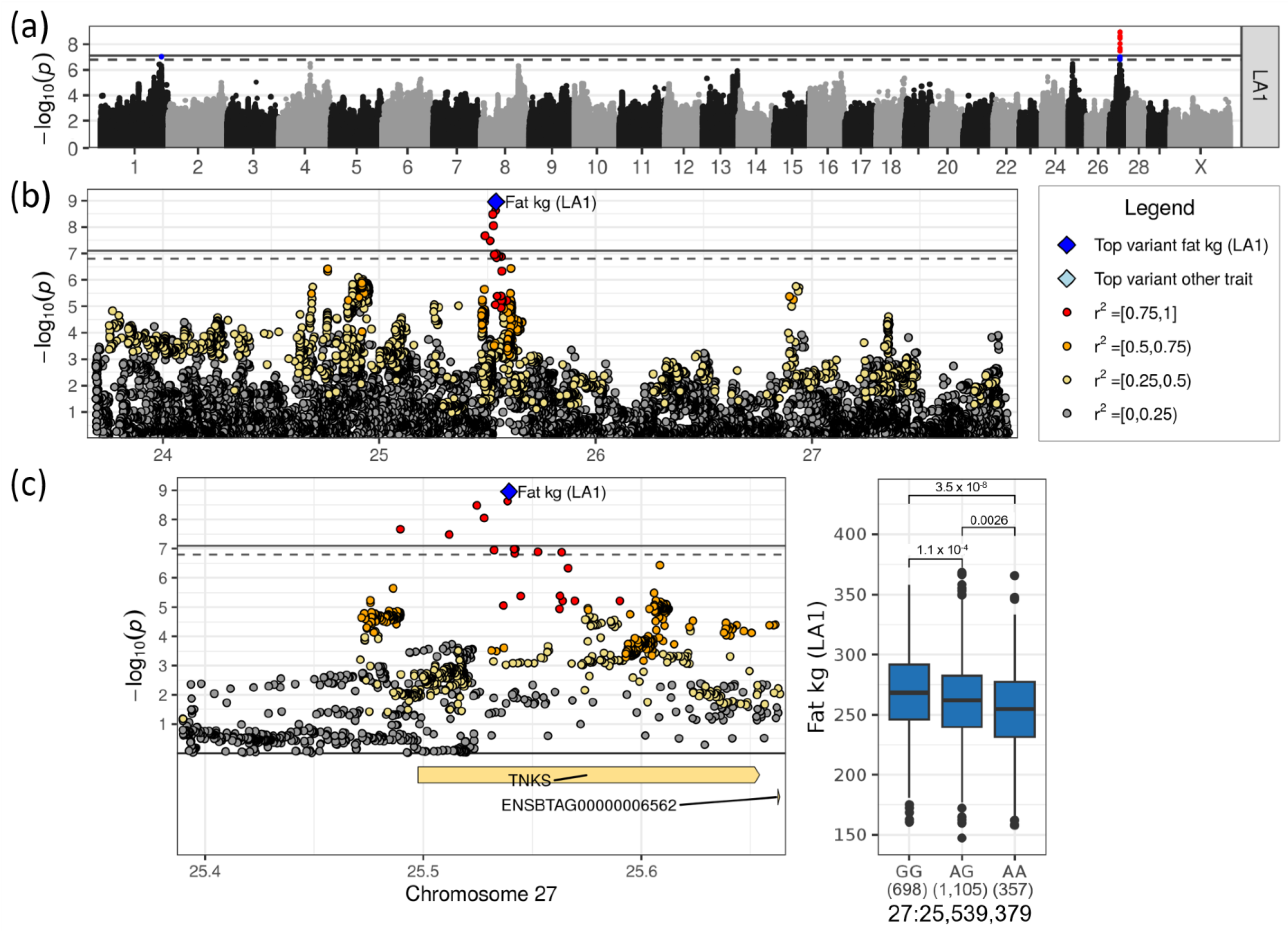 Genes 14 00581 g007 Genes 14 00581 g007