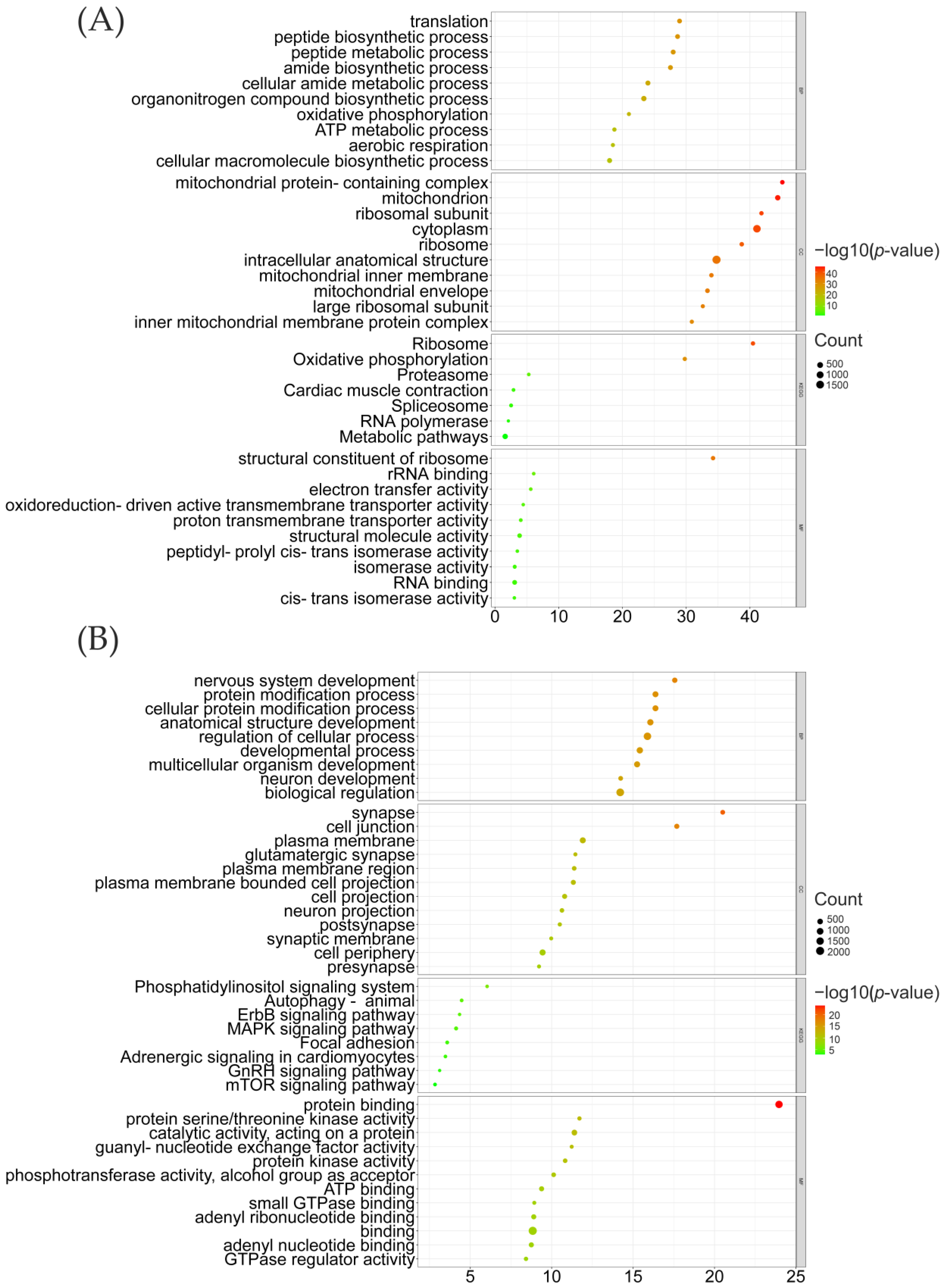 Genes 14 00584 g005