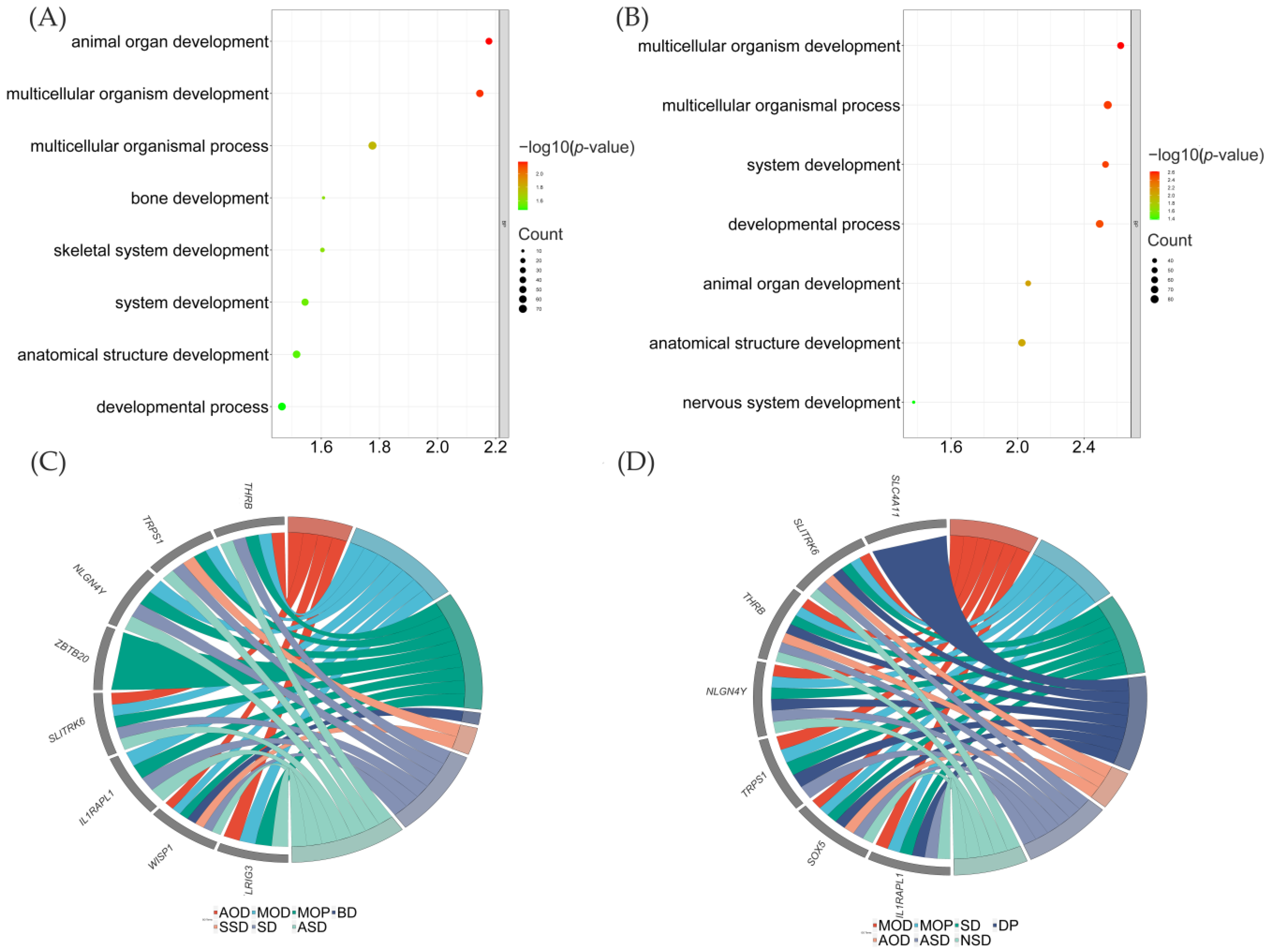 Genes 14 00584 g006