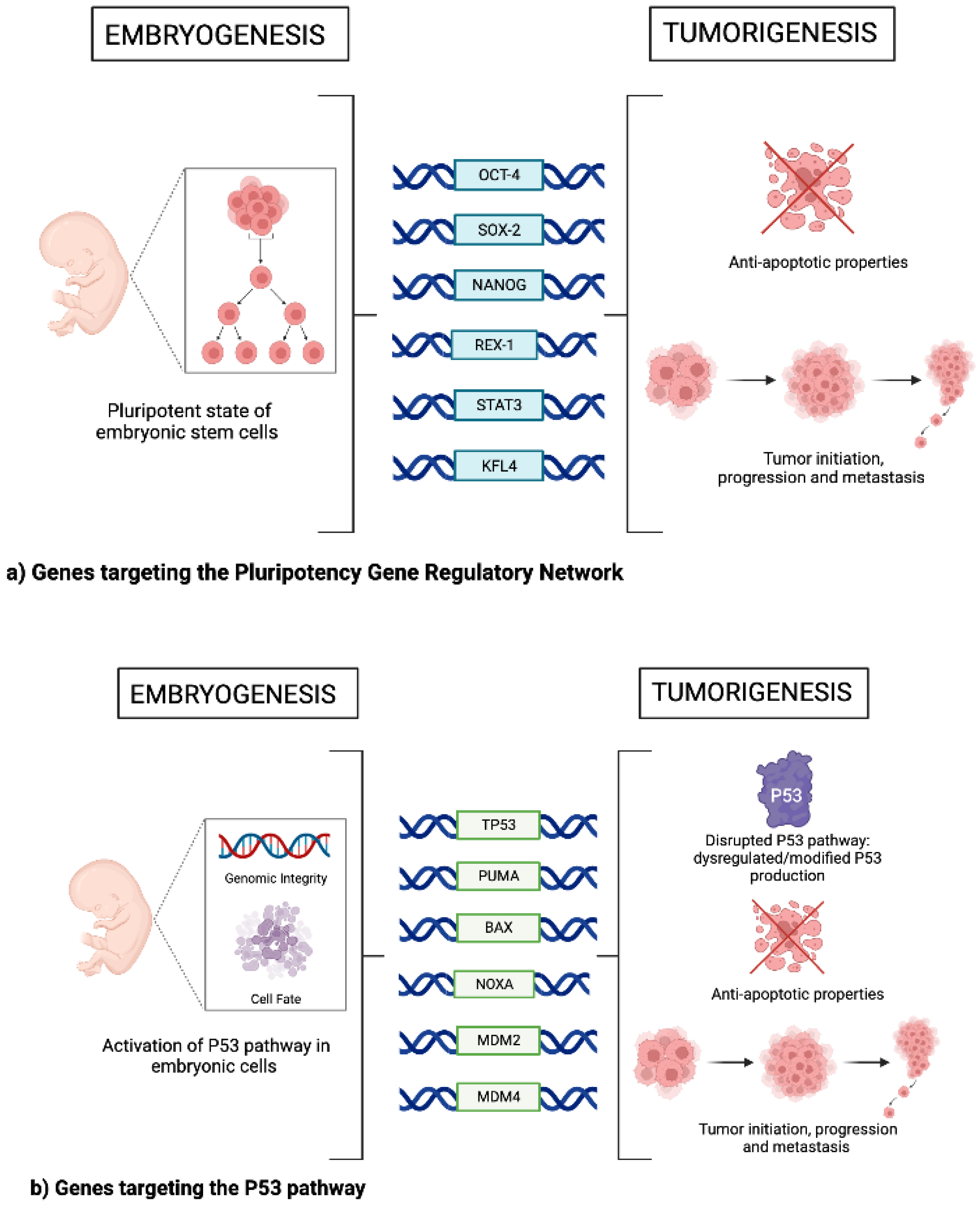 Genes 14 00604 g001a Genes 14 00604 g001a