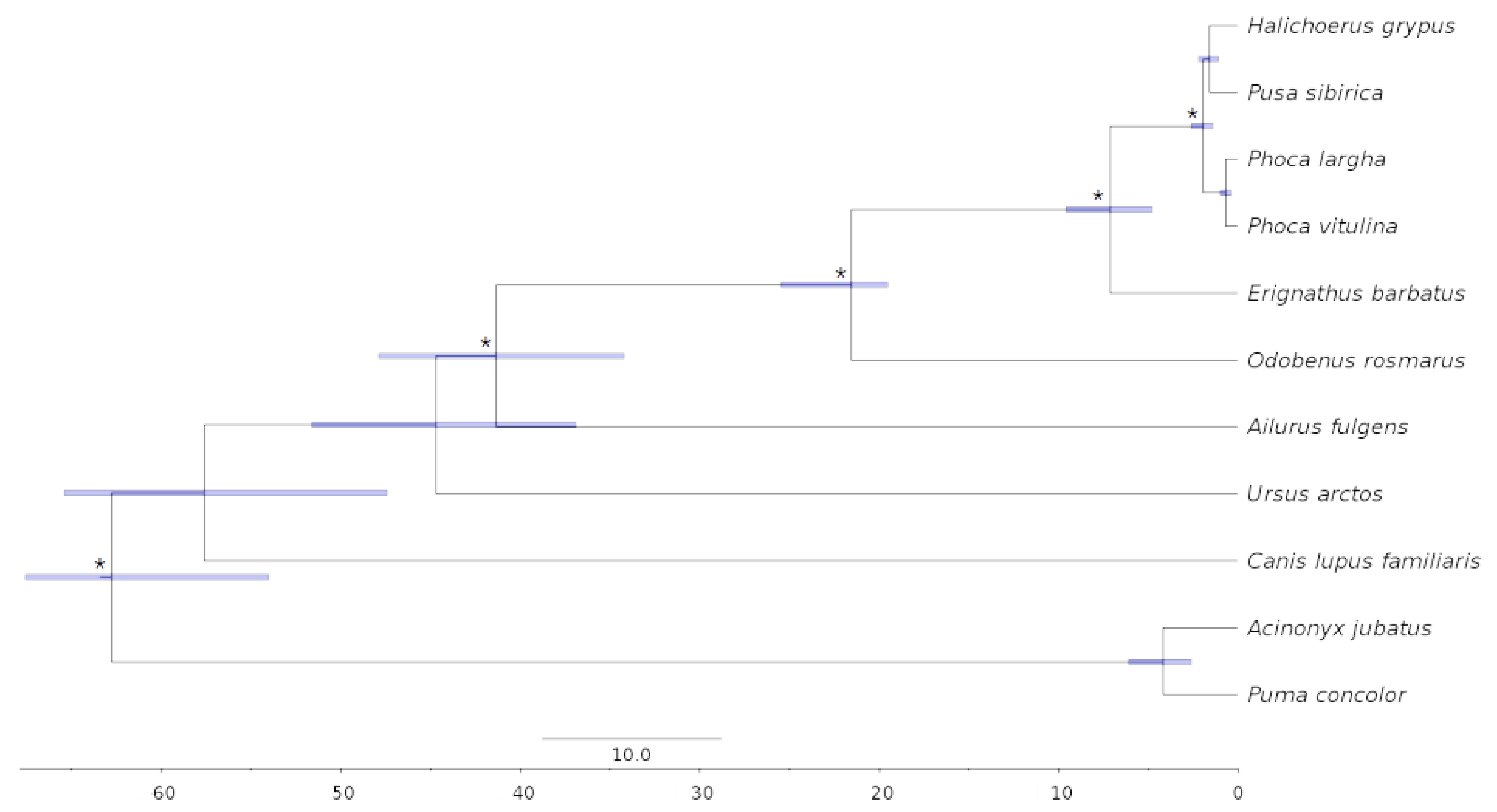 Genes 14 00619 g005 Genes 14 00619 g005