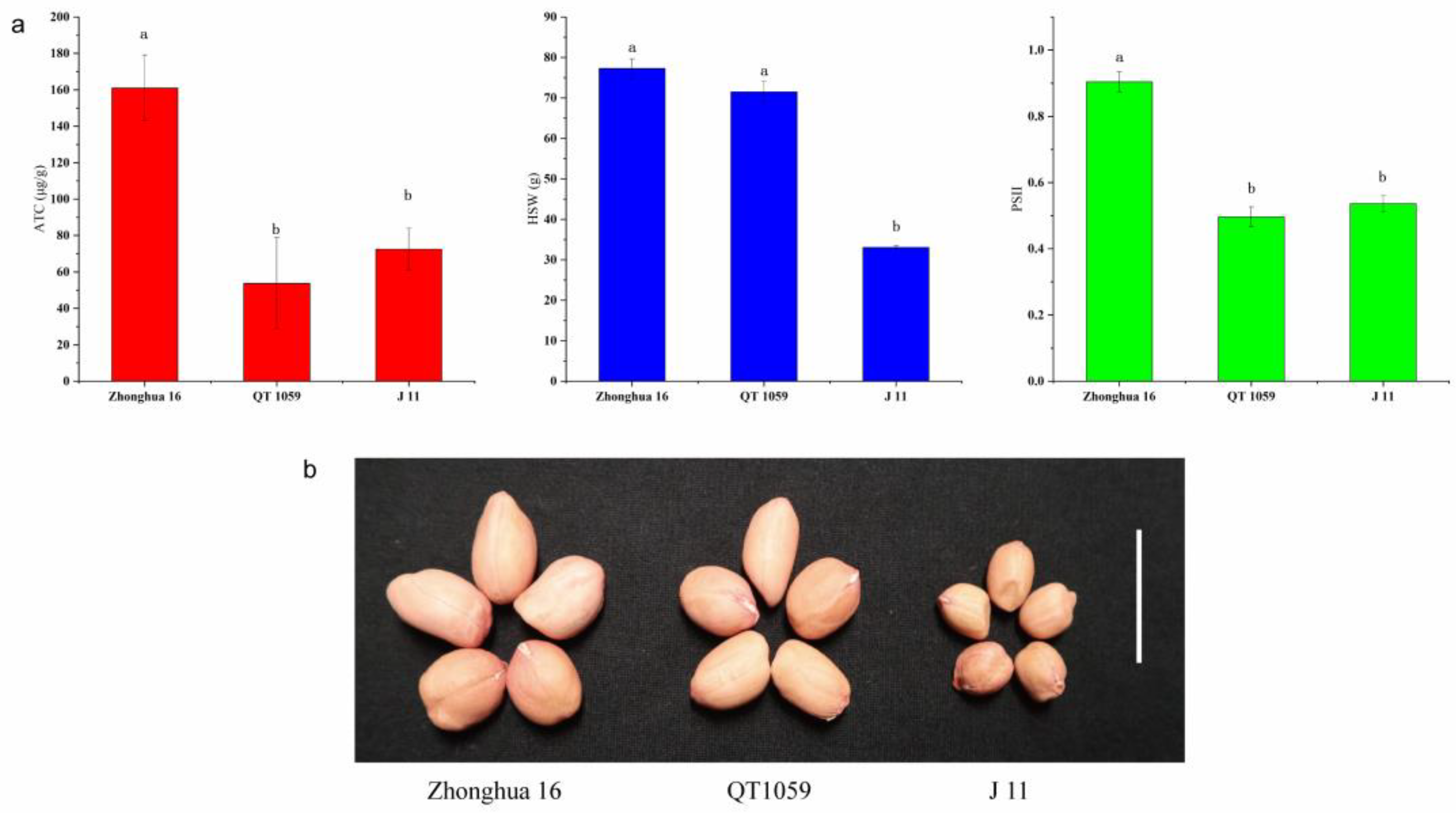 Genes 14 00625 g002 Genes 14 00625 g002
