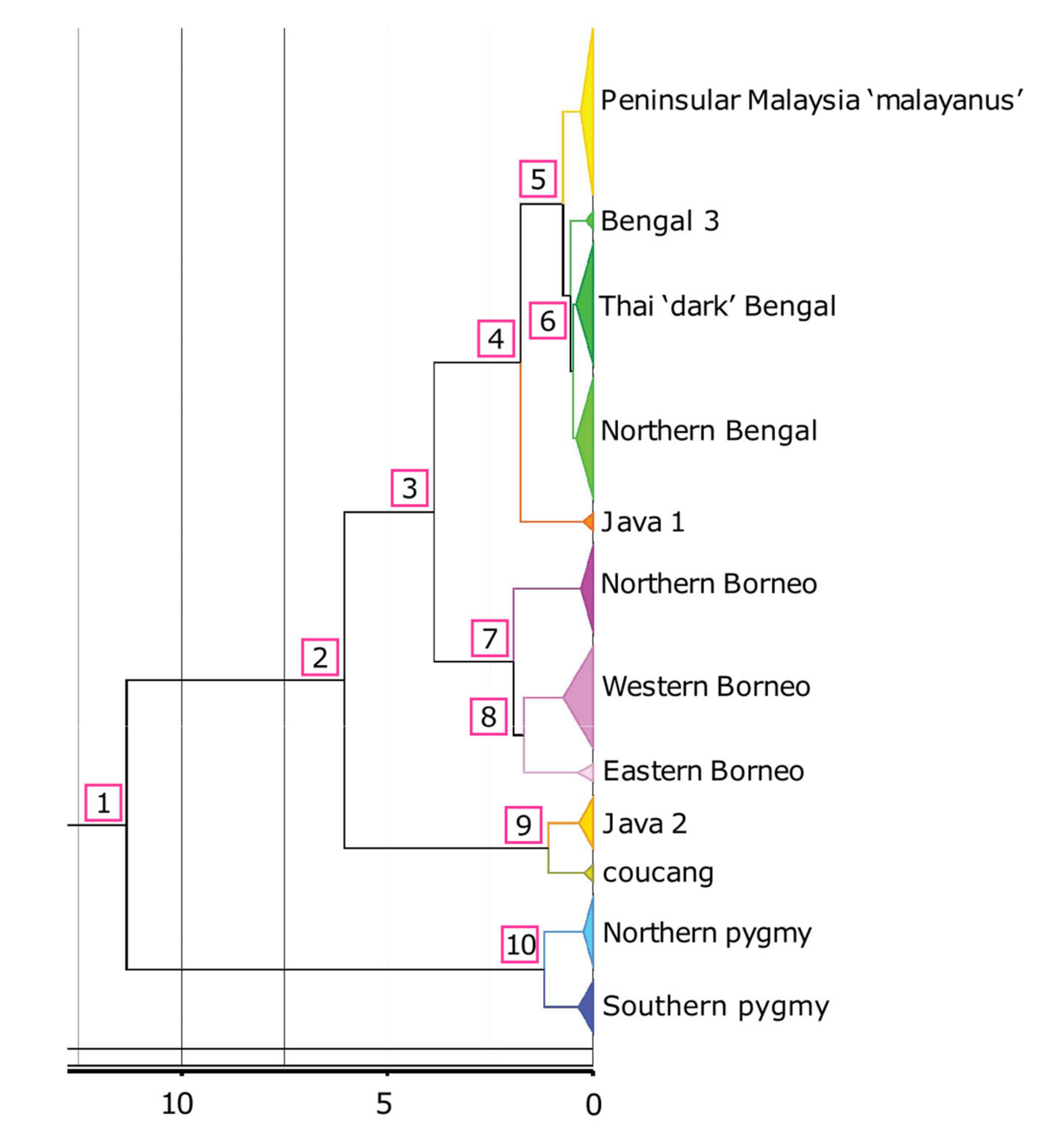 Genes 14 00643 g003 Genes 14 00643 g003