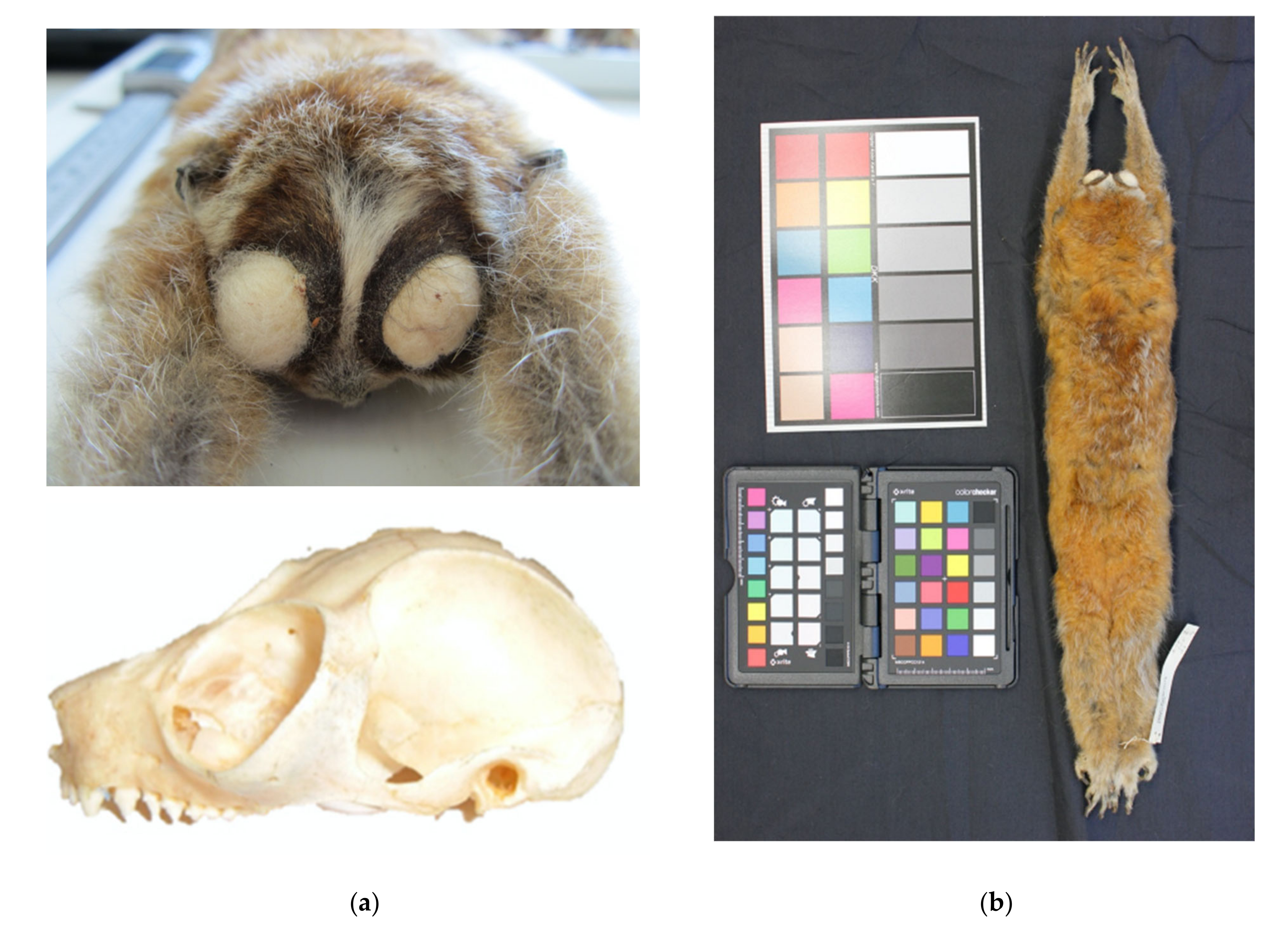 Genes 14 00643 g006 Genes 14 00643 g006