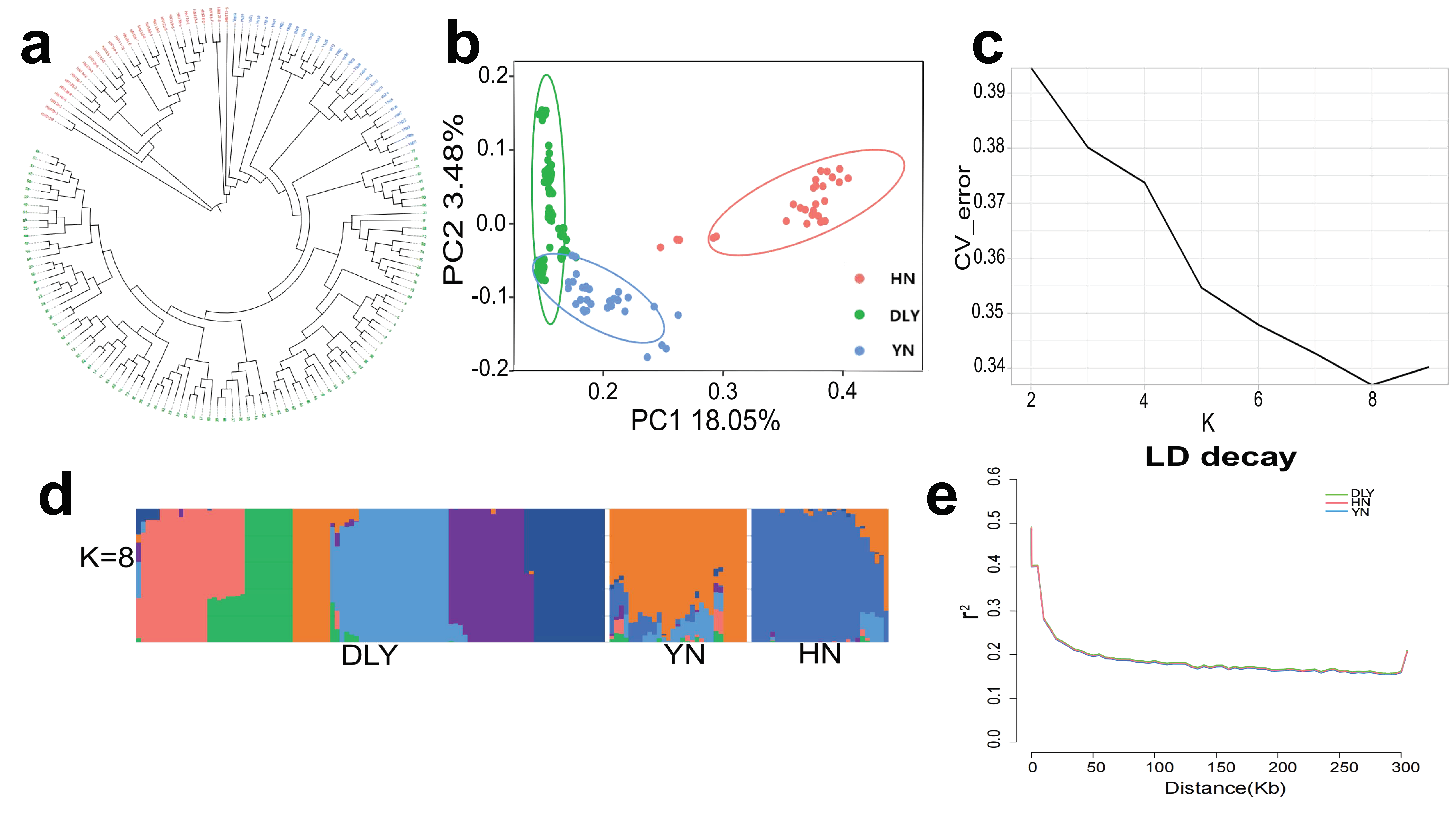 Genes 14 00655 g001
