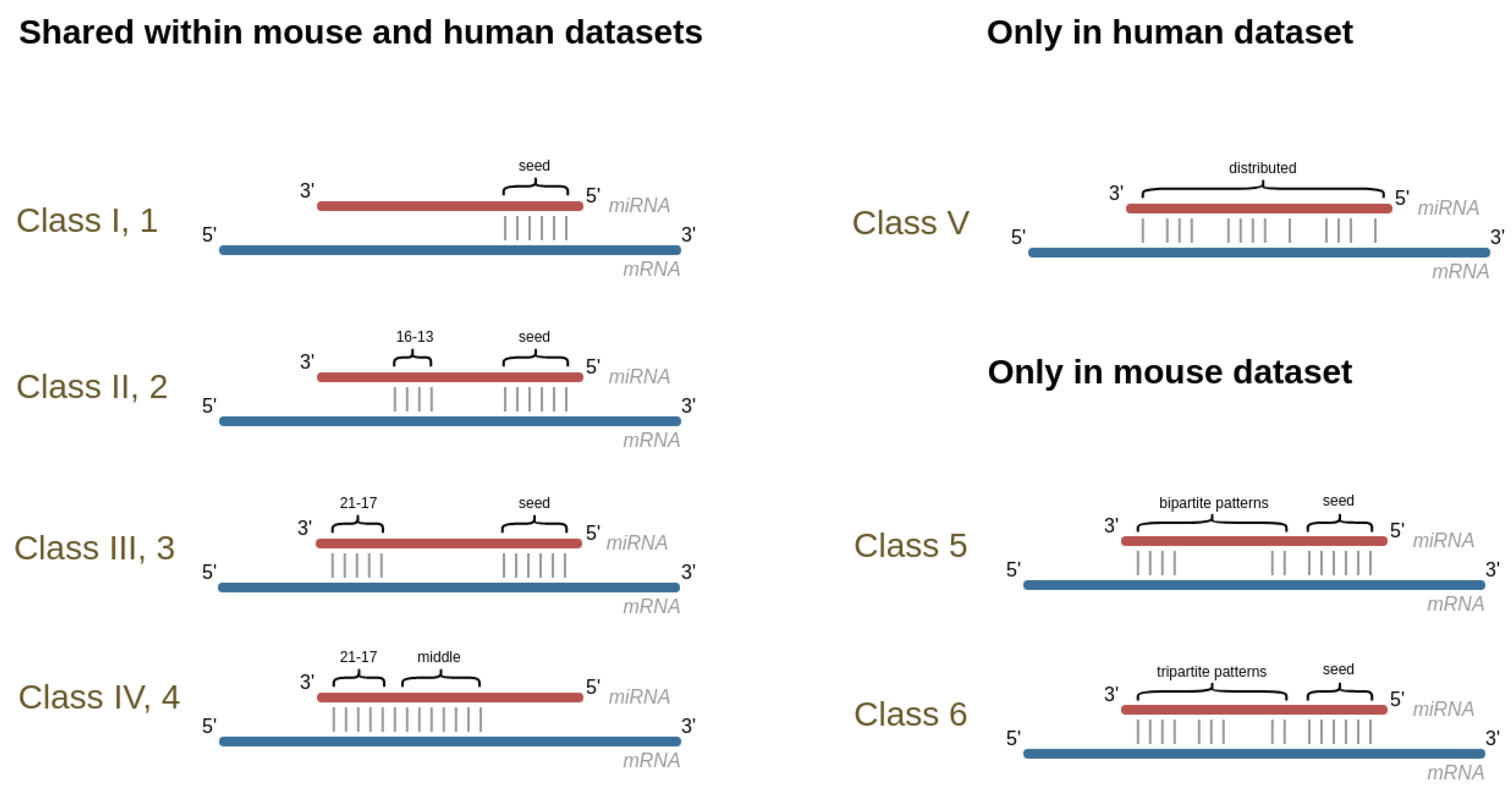 Genes 14 00664 g001