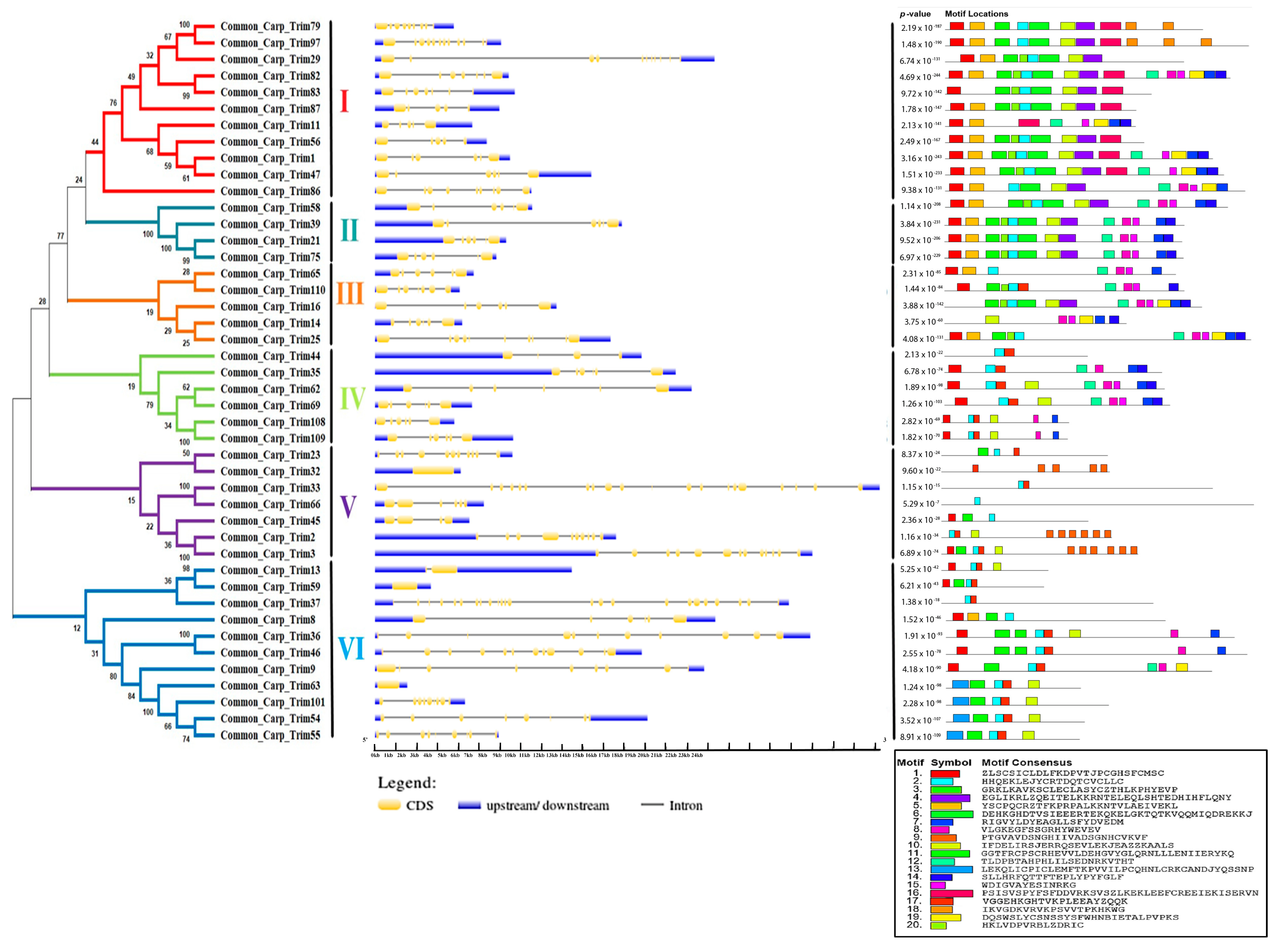 Genes 14 00667 g003 Genes 14 00667 g003
