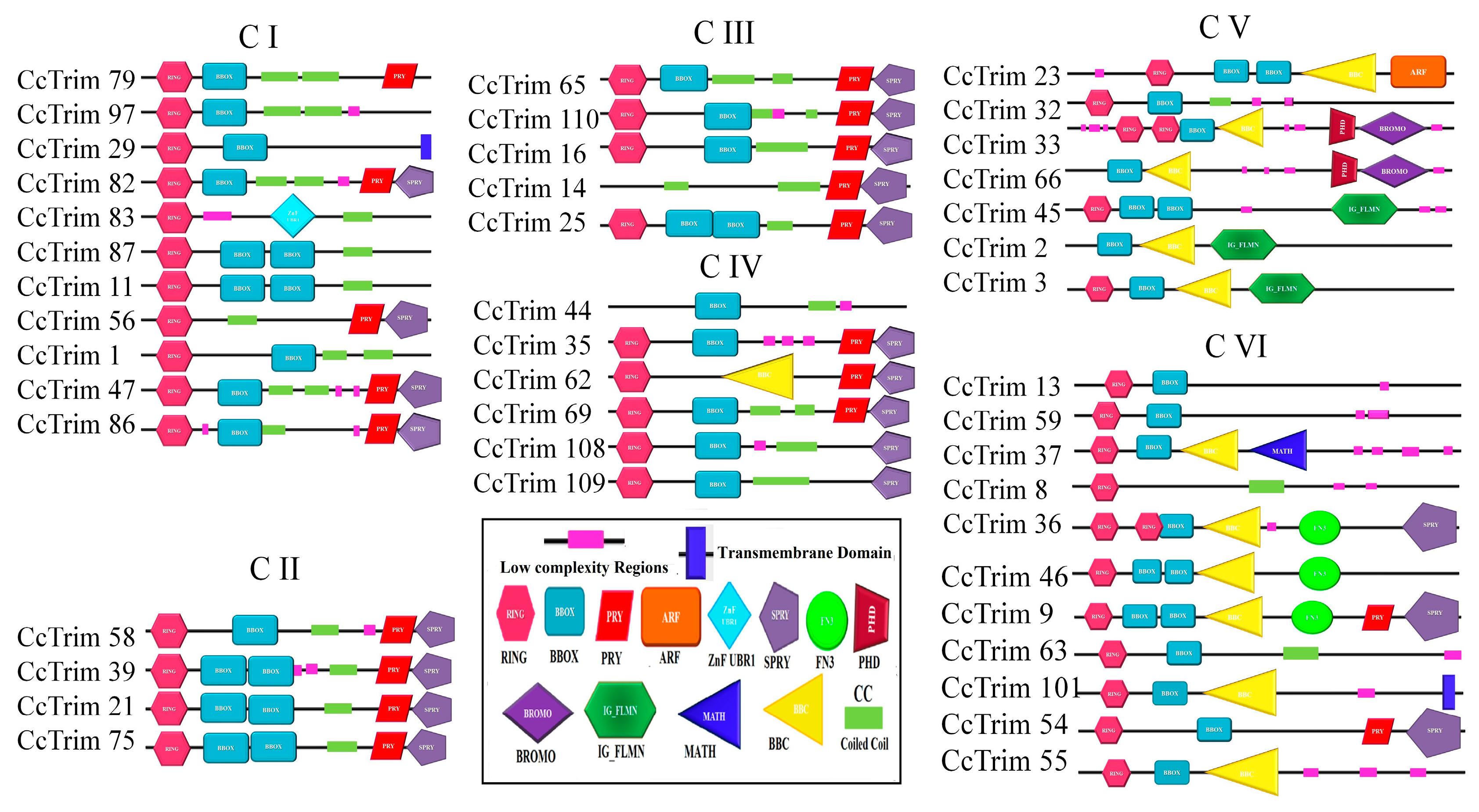 Genes 14 00667 g004 Genes 14 00667 g004