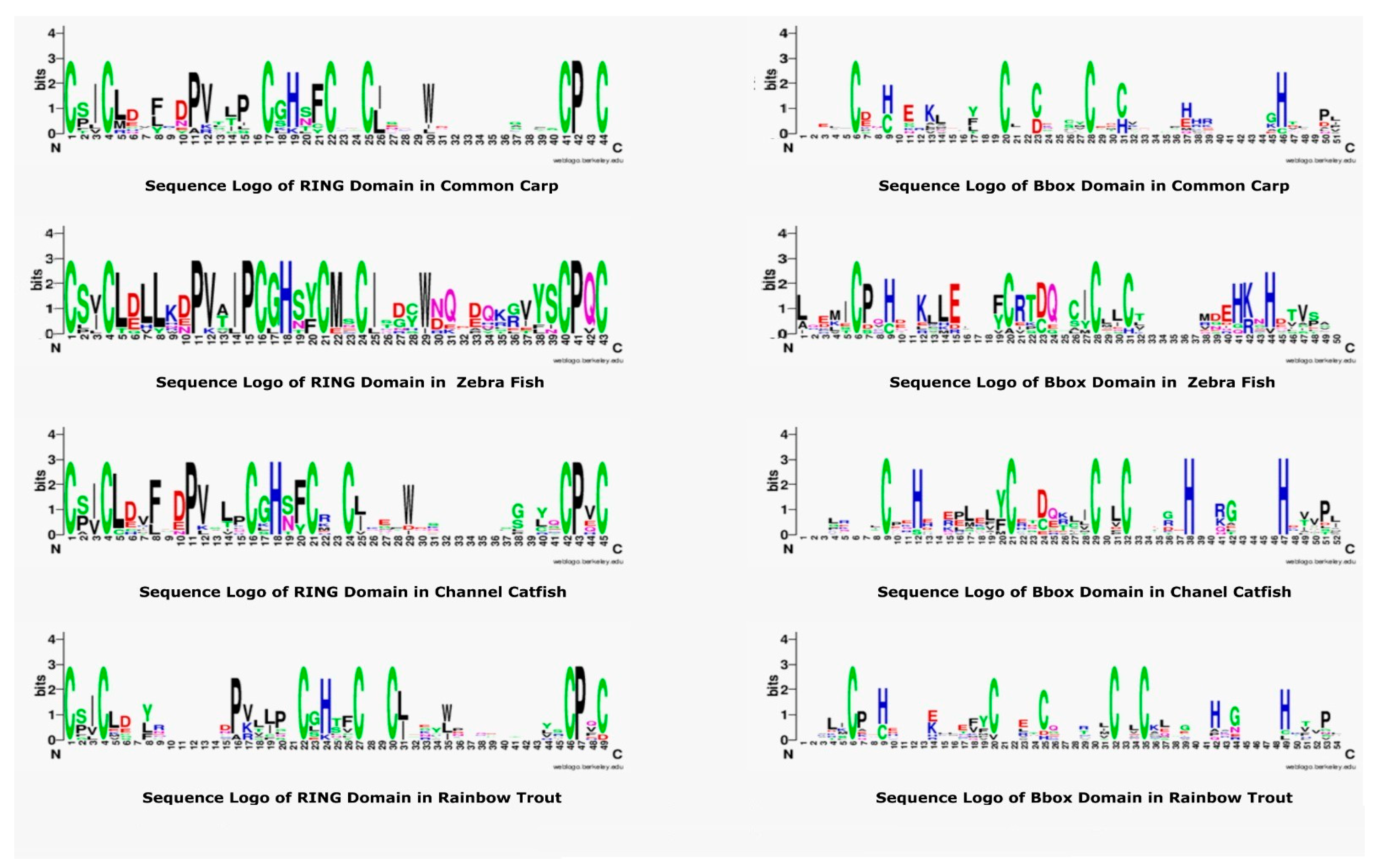 Genes 14 00667 g005 Genes 14 00667 g005