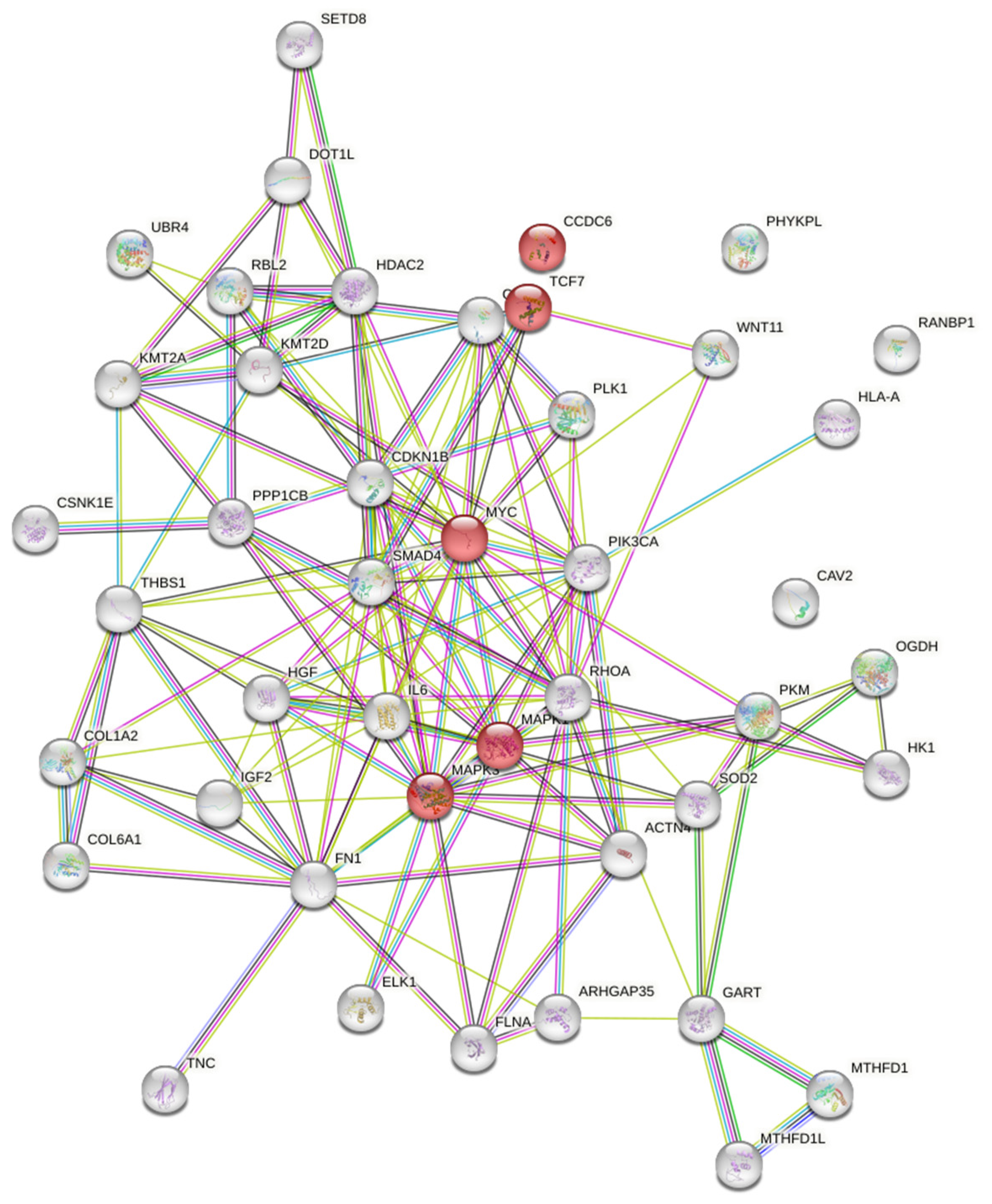 Genes 14 00685 g002 Genes 14 00685 g002