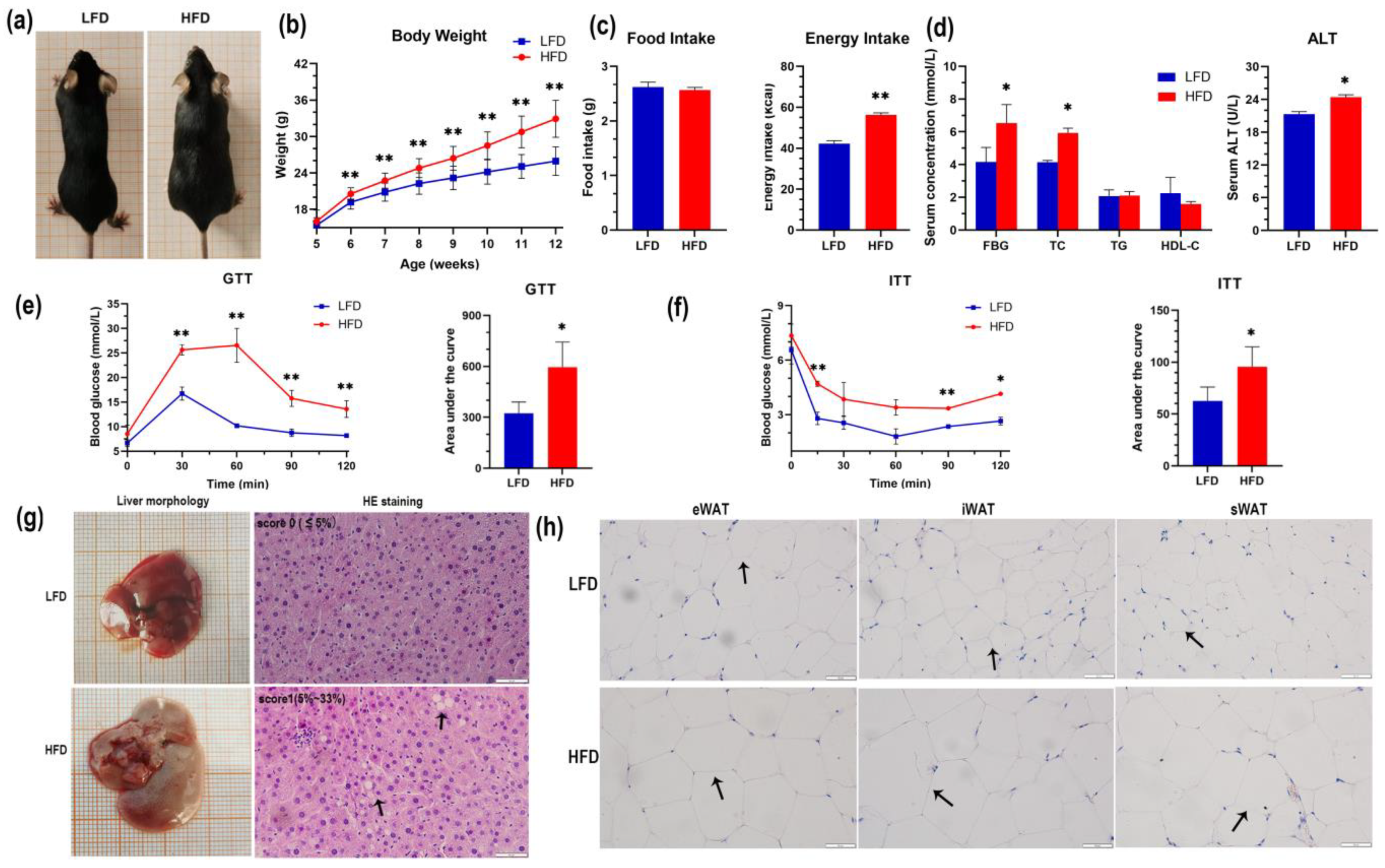Genes 14 00688 g001 Genes 14 00688 g001