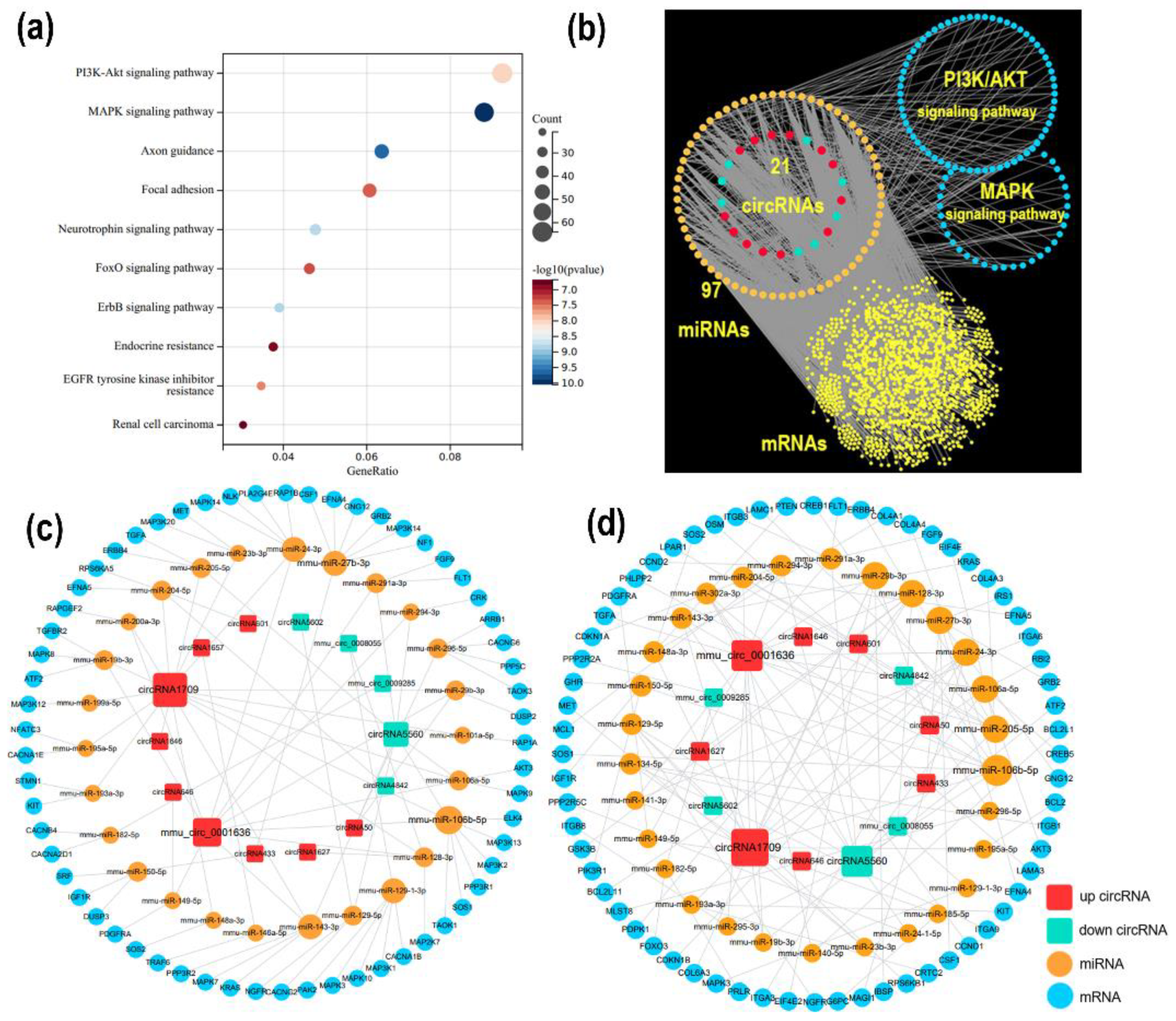 Genes 14 00688 g004 Genes 14 00688 g004