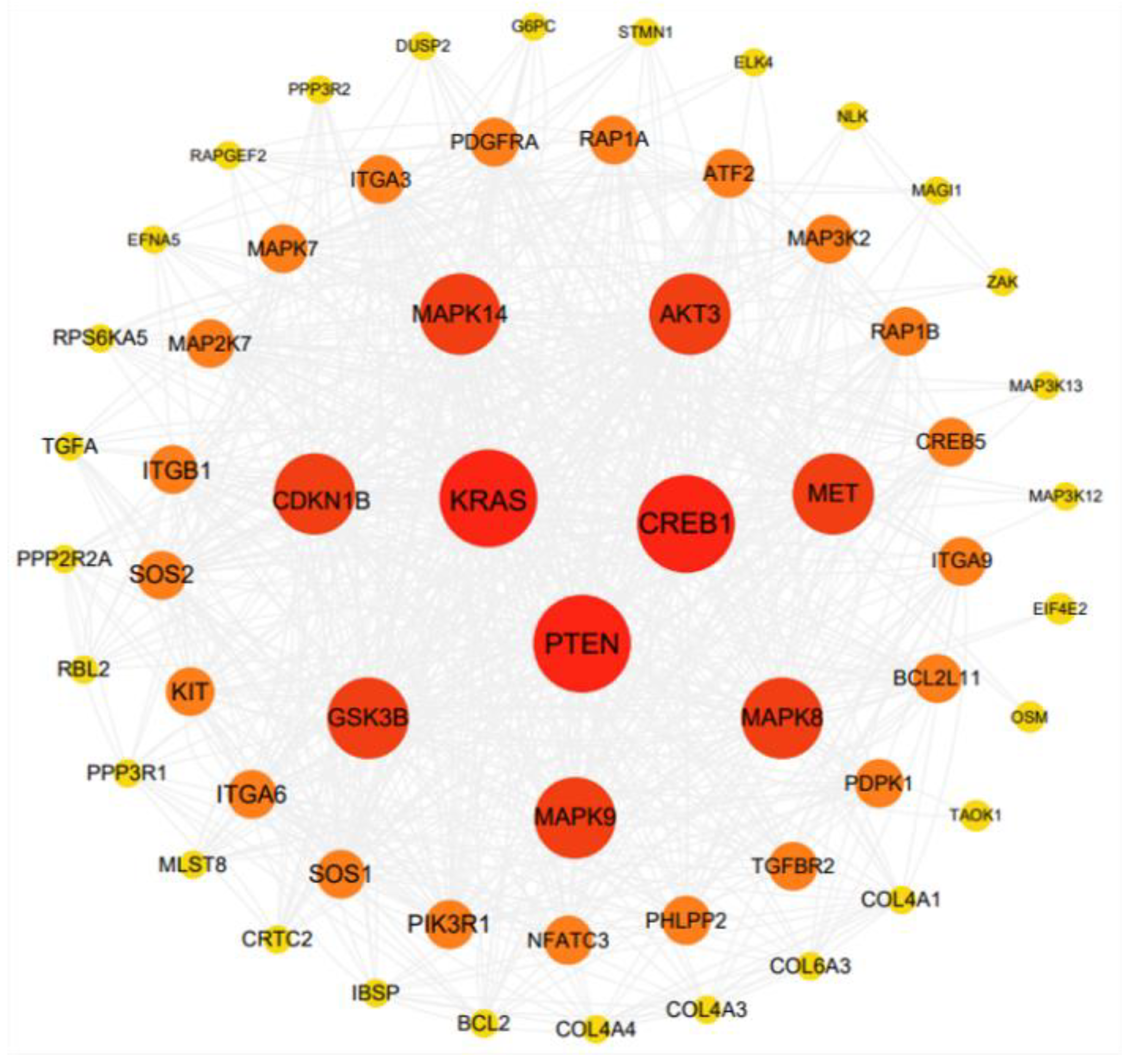 Genes 14 00688 g005 Genes 14 00688 g005