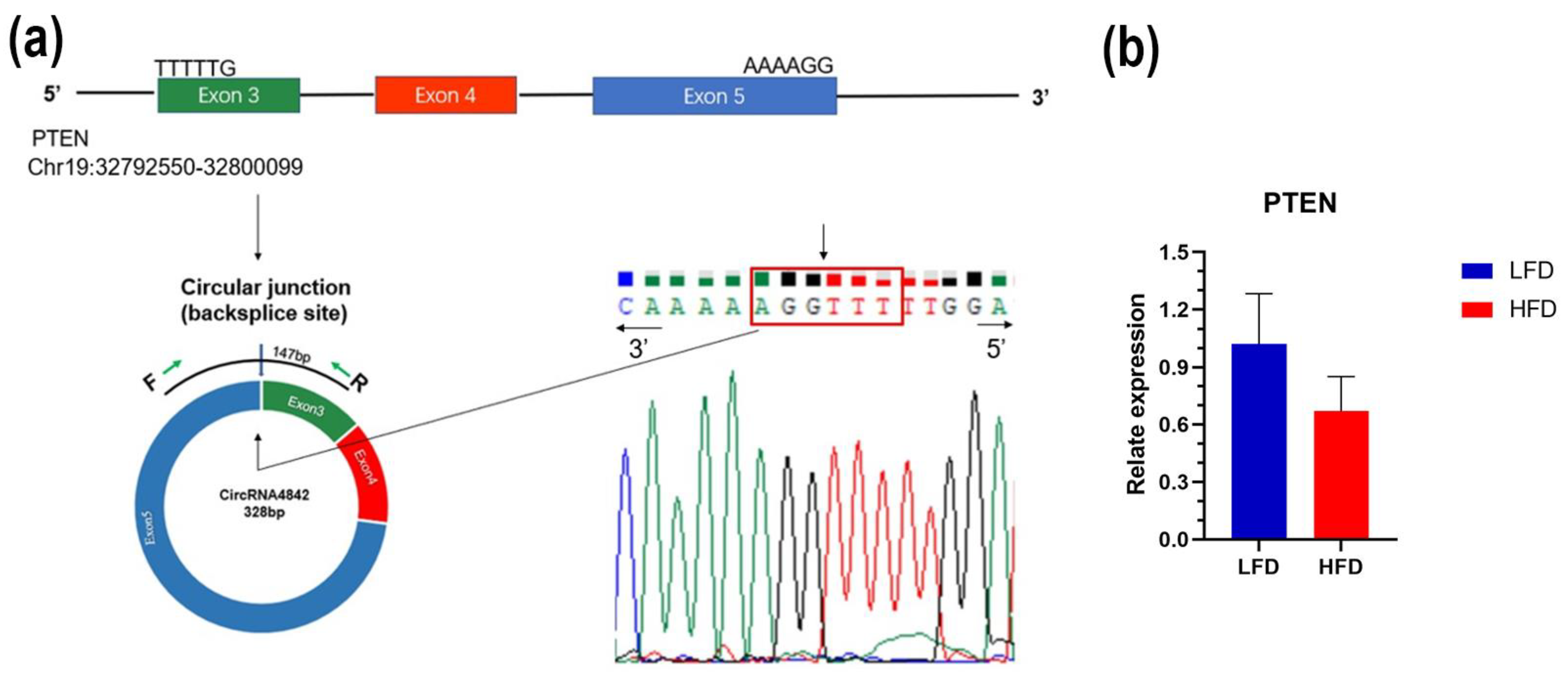 Genes 14 00688 g006 Genes 14 00688 g006