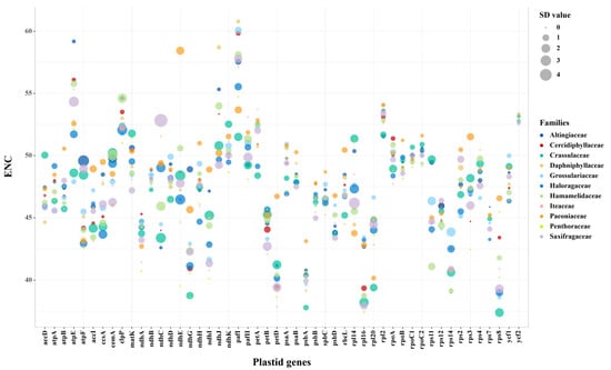 Mitogenome-wise codon usage pattern from comparative analysis of