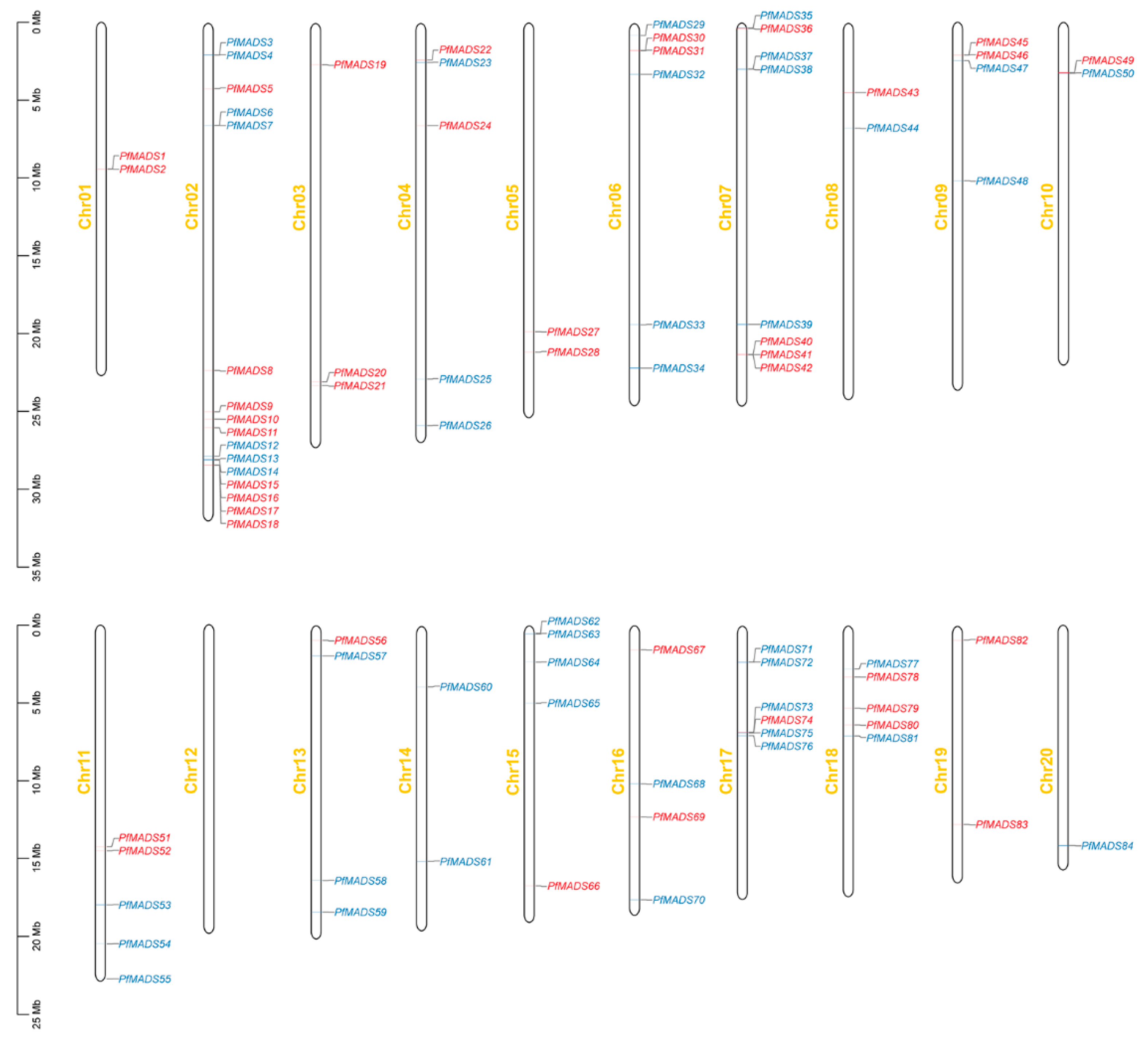 Genes 14 00696 g001 Genes 14 00696 g001
