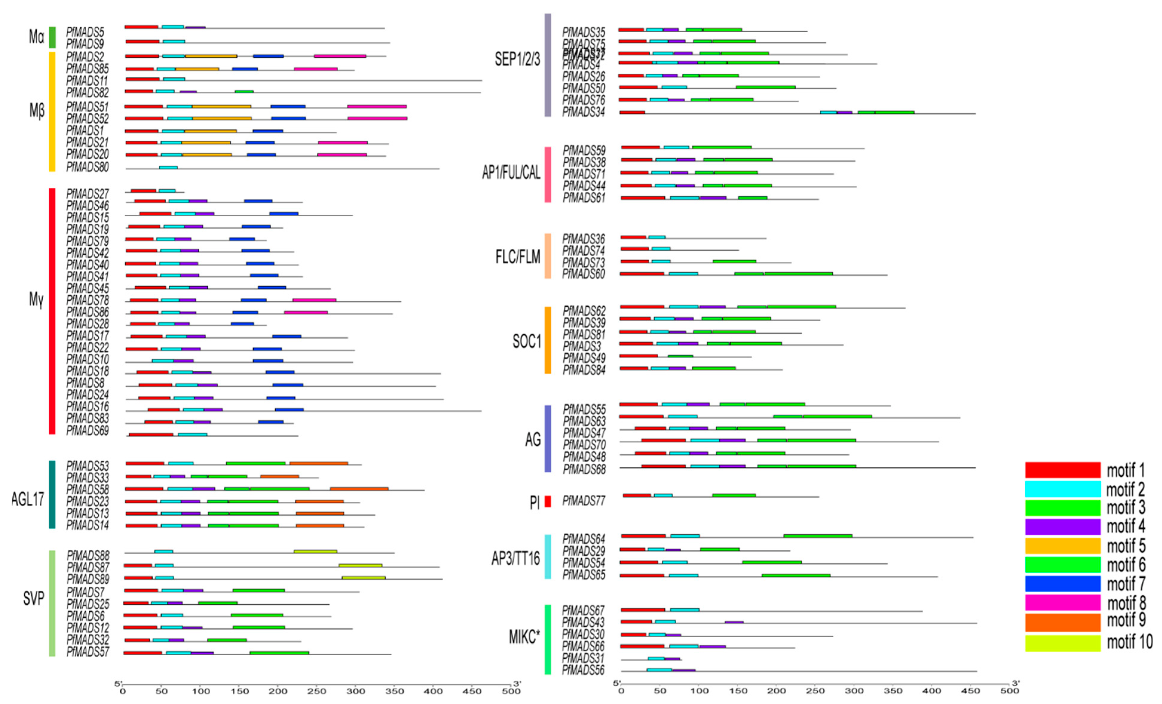 Genes 14 00696 g004 Genes 14 00696 g004