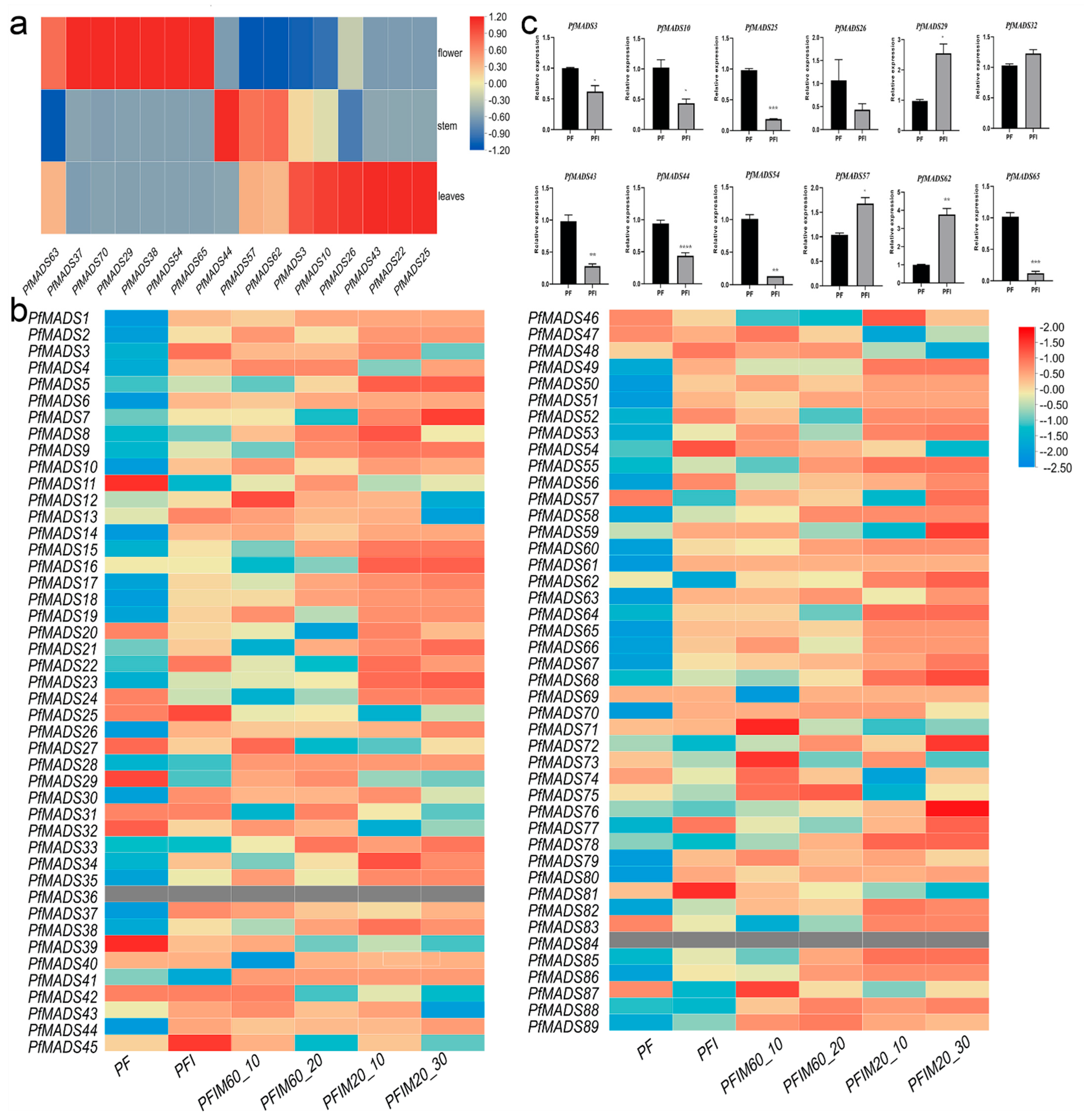 Genes 14 00696 g006 Genes 14 00696 g006