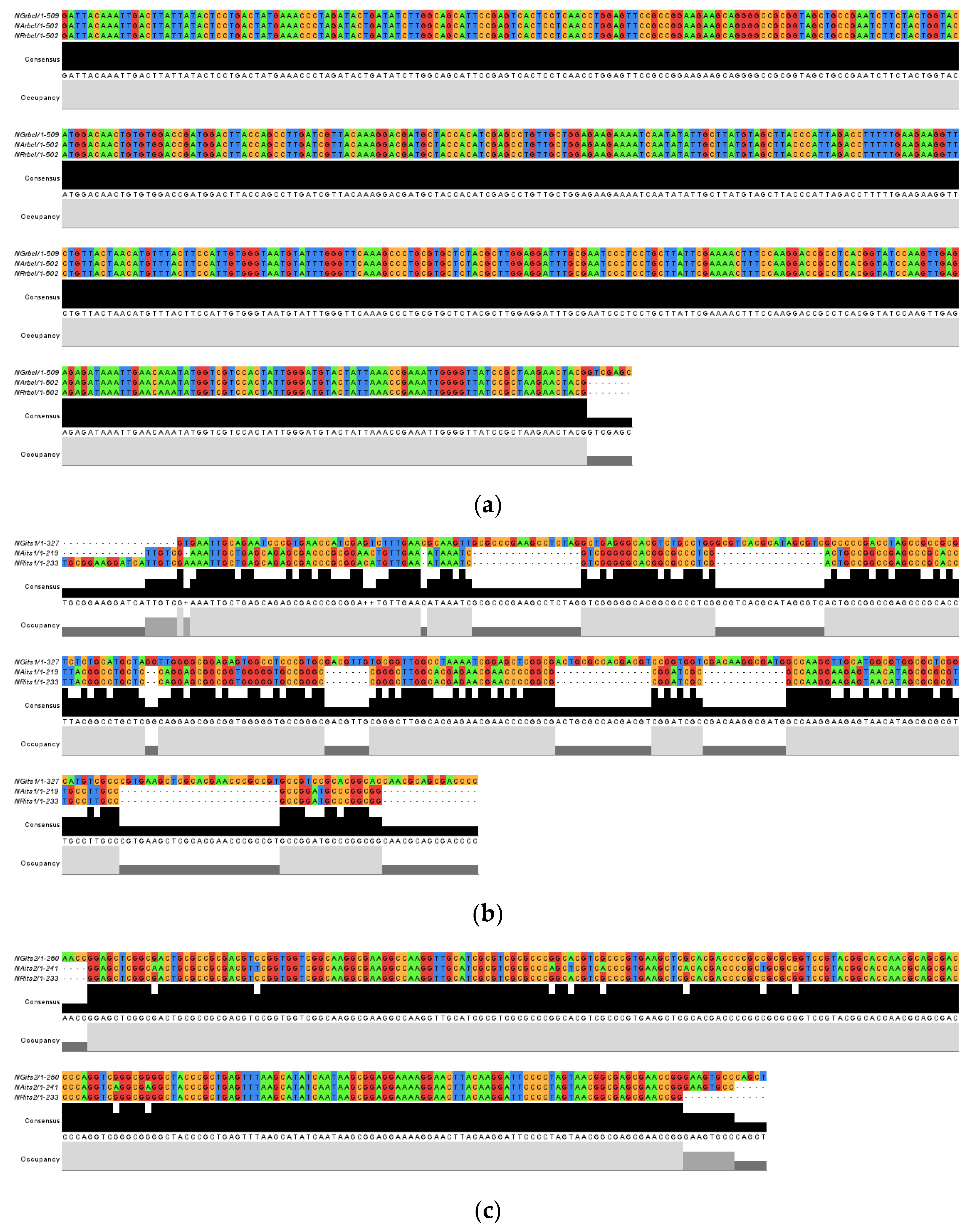 Genes 14 00697 g002 Genes 14 00697 g002