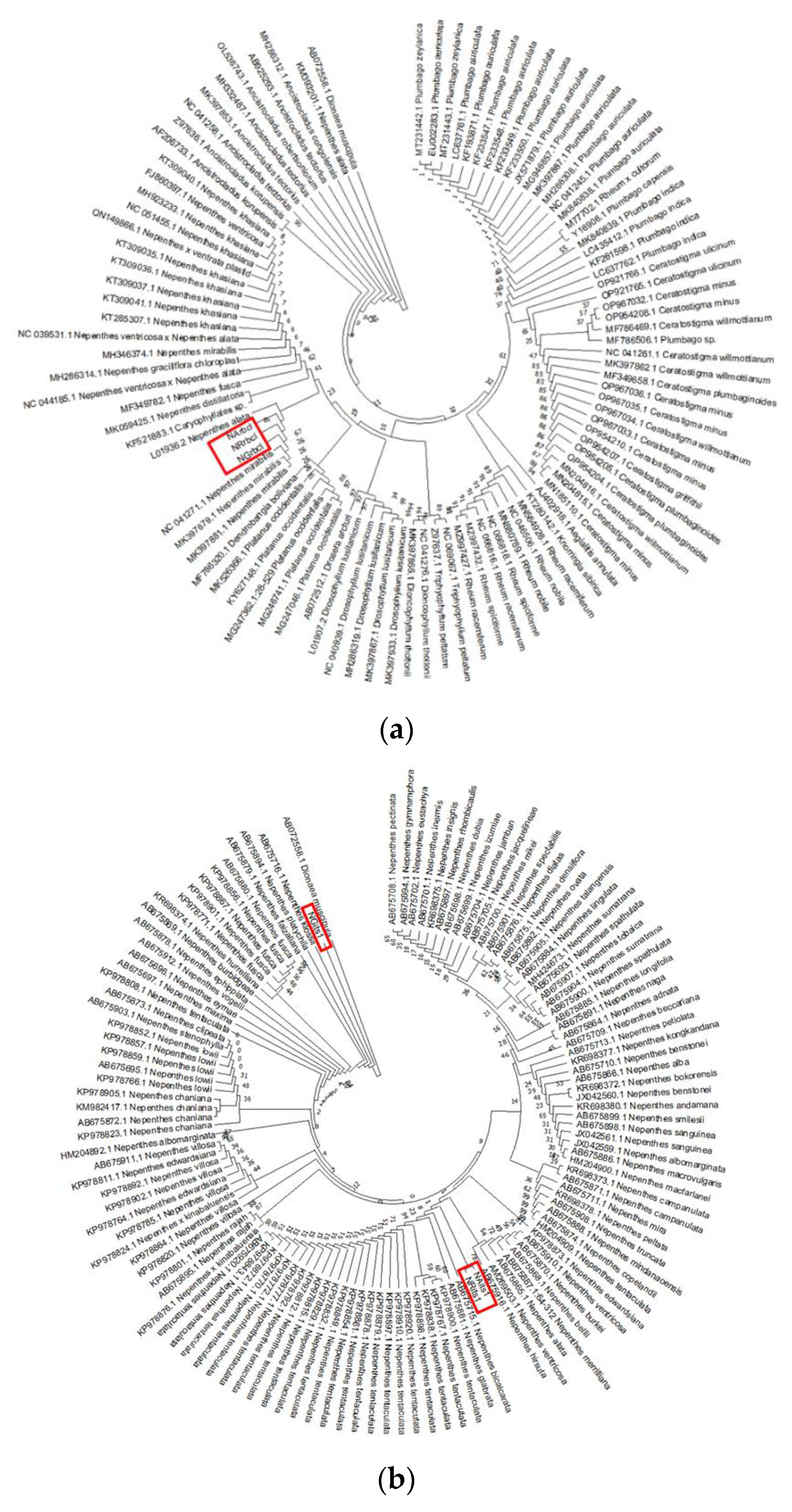 Genes 14 00697 g003a Genes 14 00697 g003a