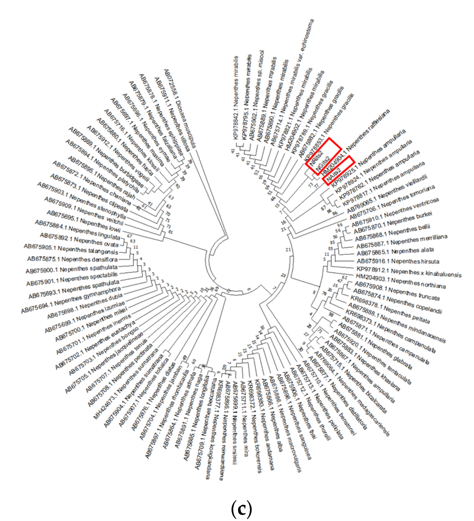 Genes 14 00697 g003b Genes 14 00697 g003b