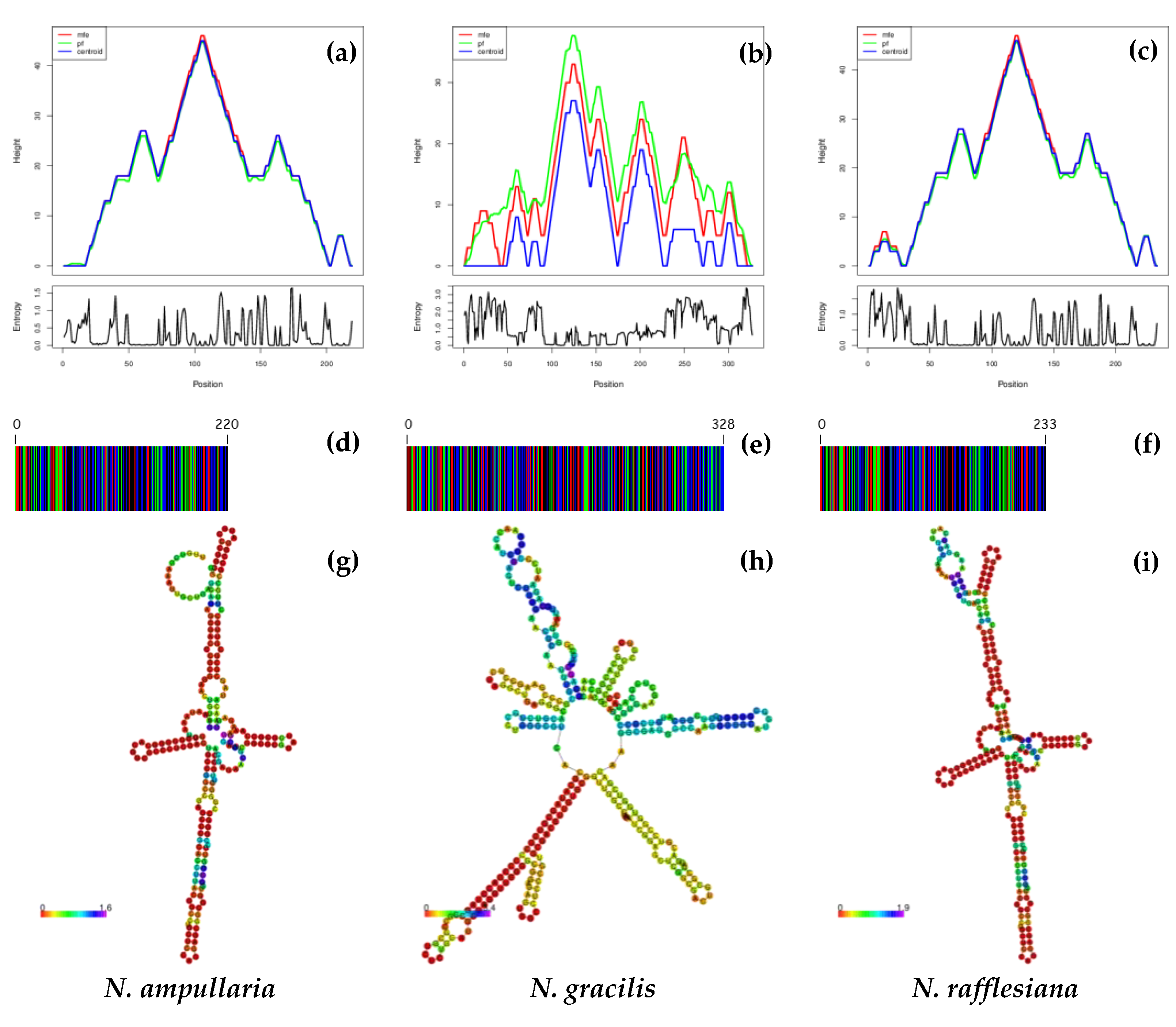 Genes 14 00697 g005 Genes 14 00697 g005
