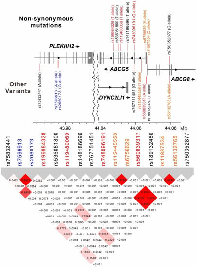 Genes Free Full Text Differential Effects Of Abcg5g8 Gene Region Variants On Lipid Profile 6893