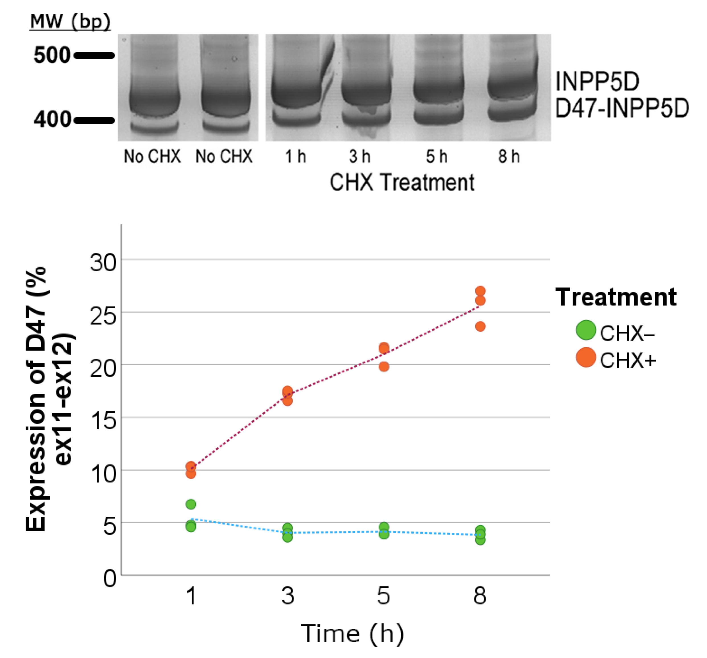 Genes 14 00763 g007 Genes 14 00763 g007