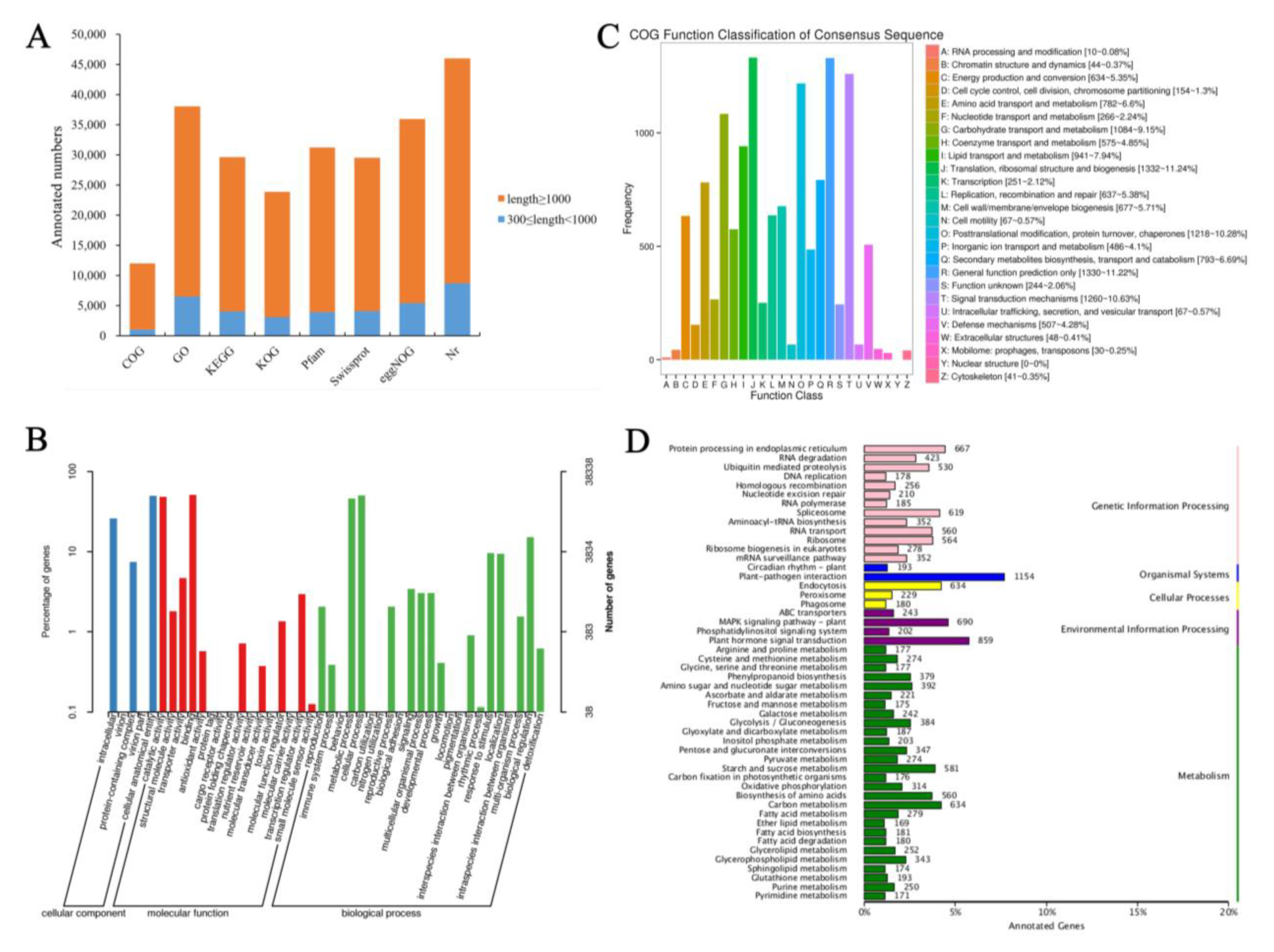 Genes 14 00766 g002 Genes 14 00766 g002