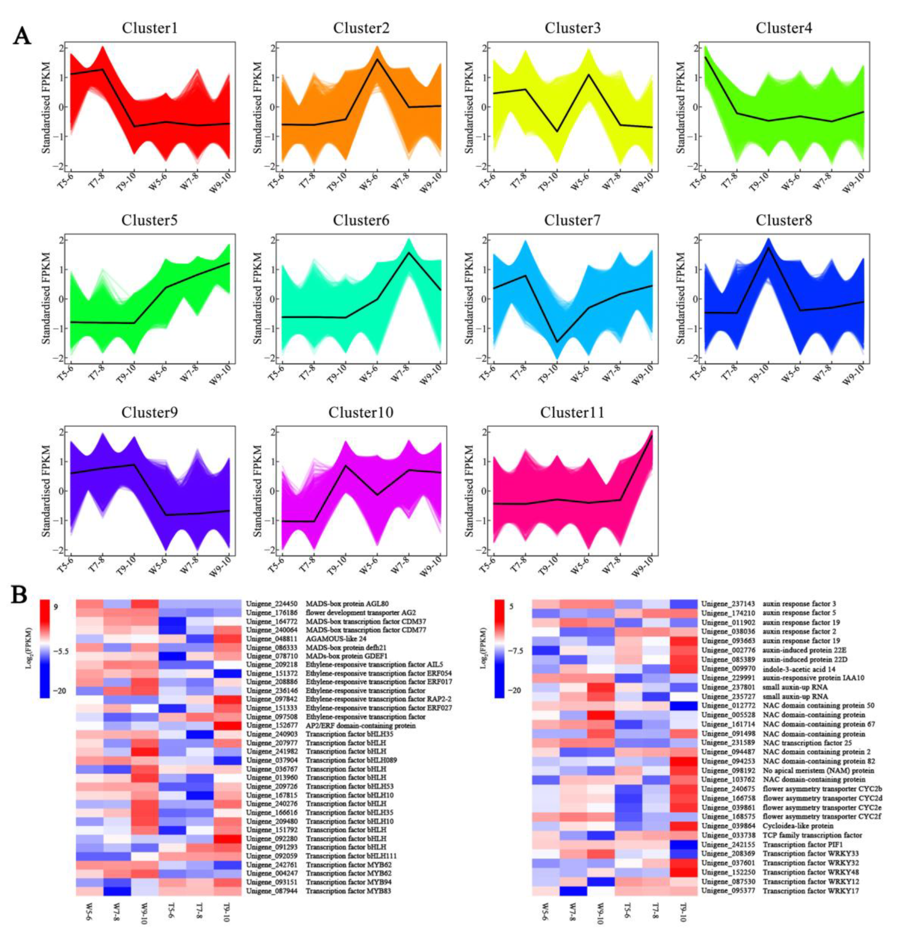 Genes 14 00766 g006 Genes 14 00766 g006