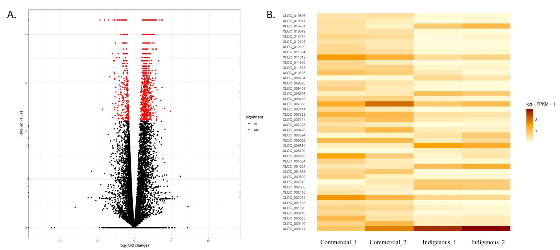 Genes 14 00793 g002