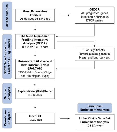 Genes, Free Full-Text