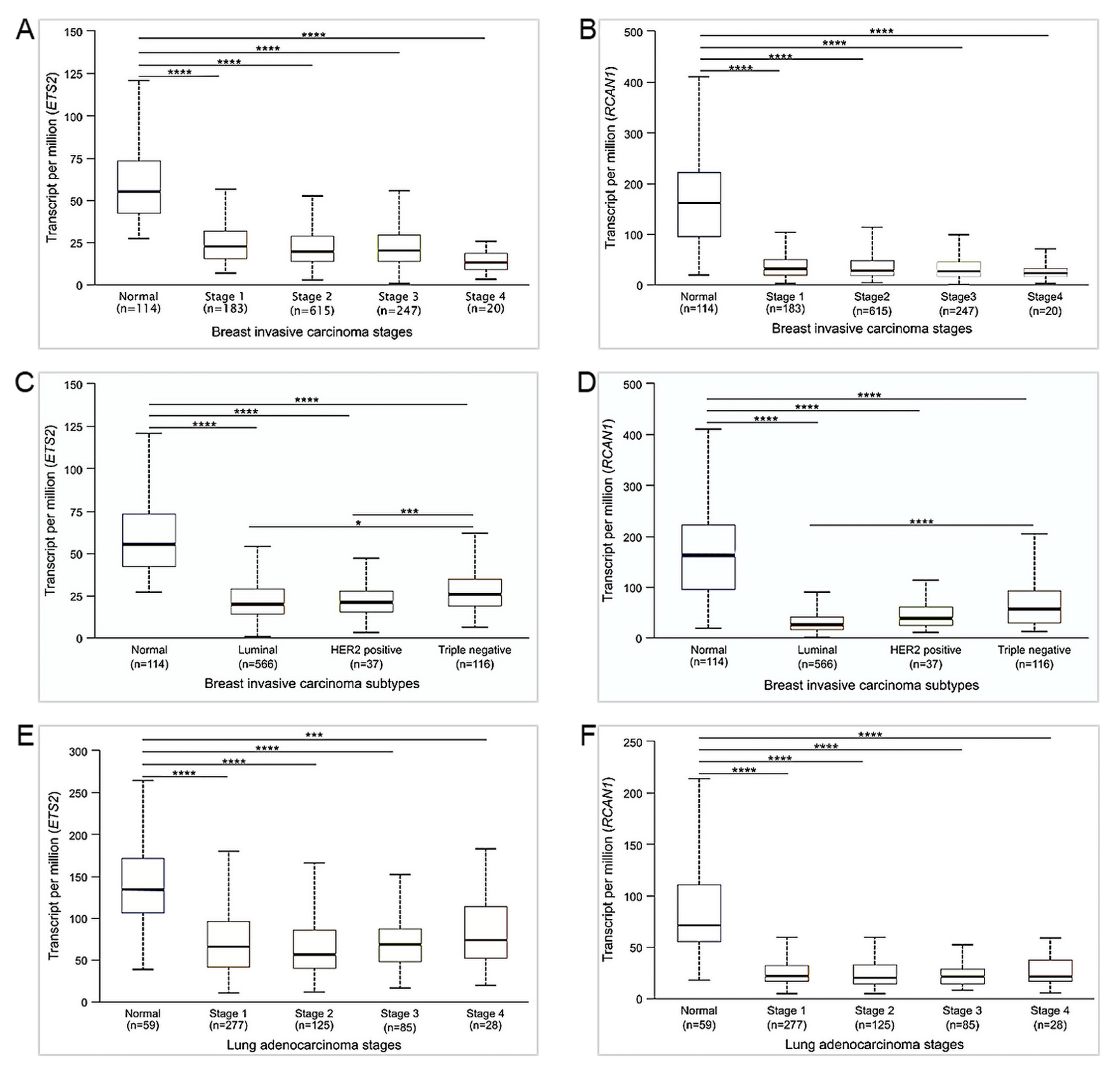 Genes 14 00800 g004 Genes 14 00800 g004