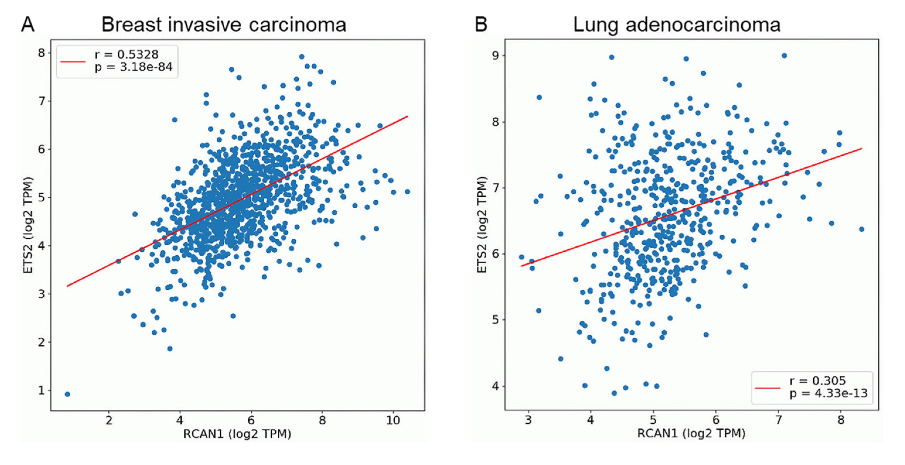 Genes 14 00800 g006 Genes 14 00800 g006