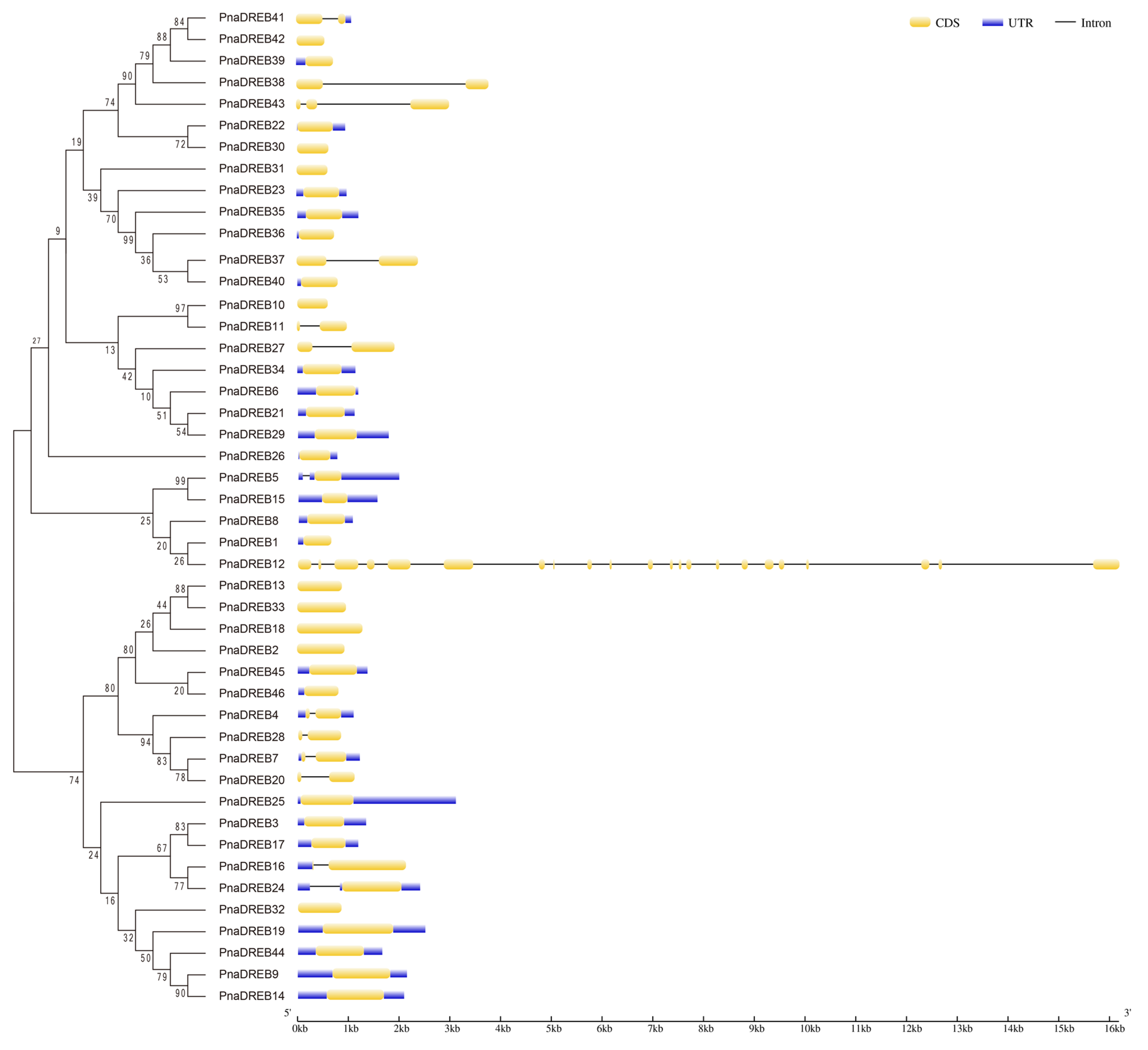 Genes 14 00811 g003 Genes 14 00811 g003