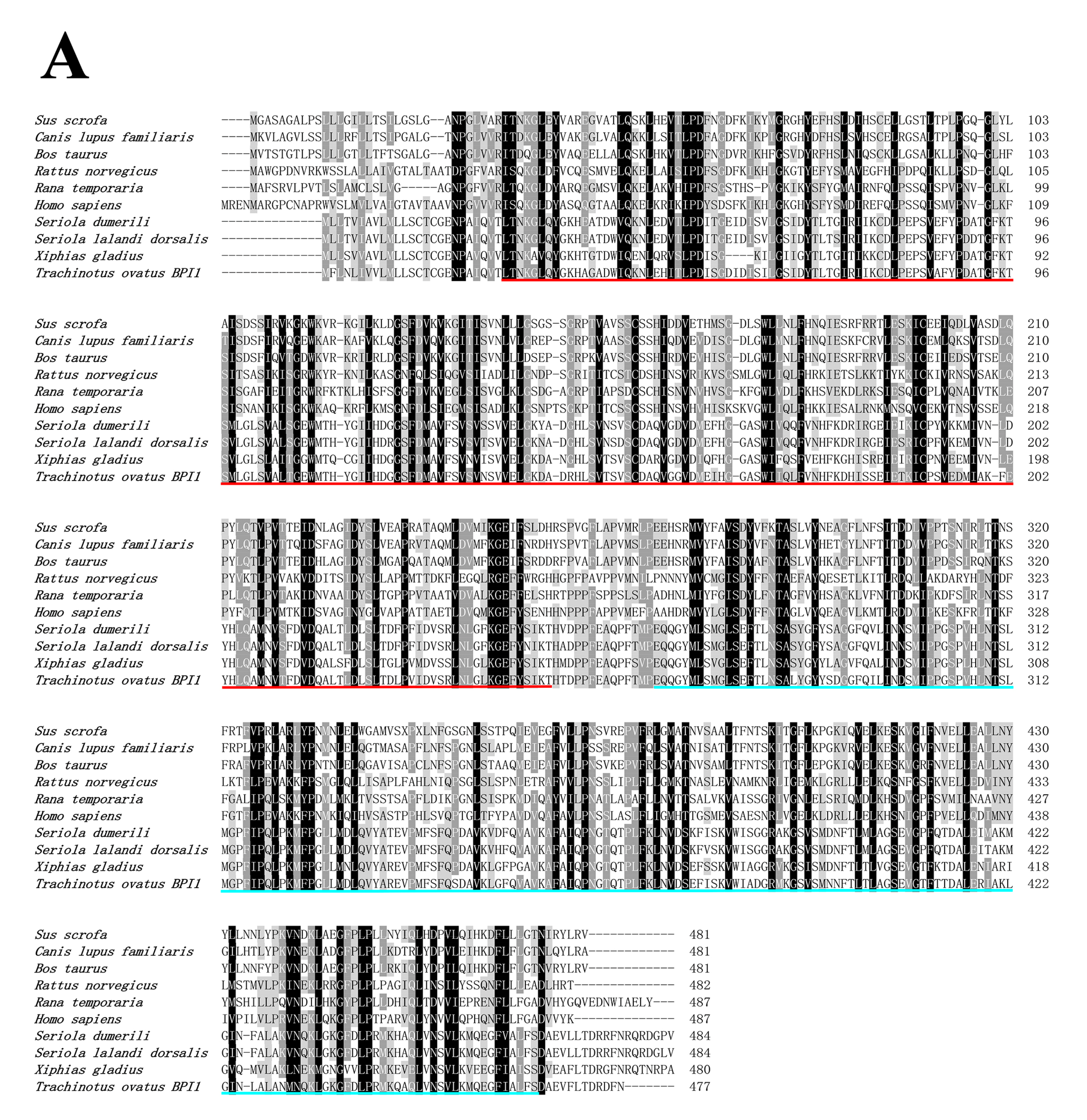 Genes 14 00826 g002a Genes 14 00826 g002a