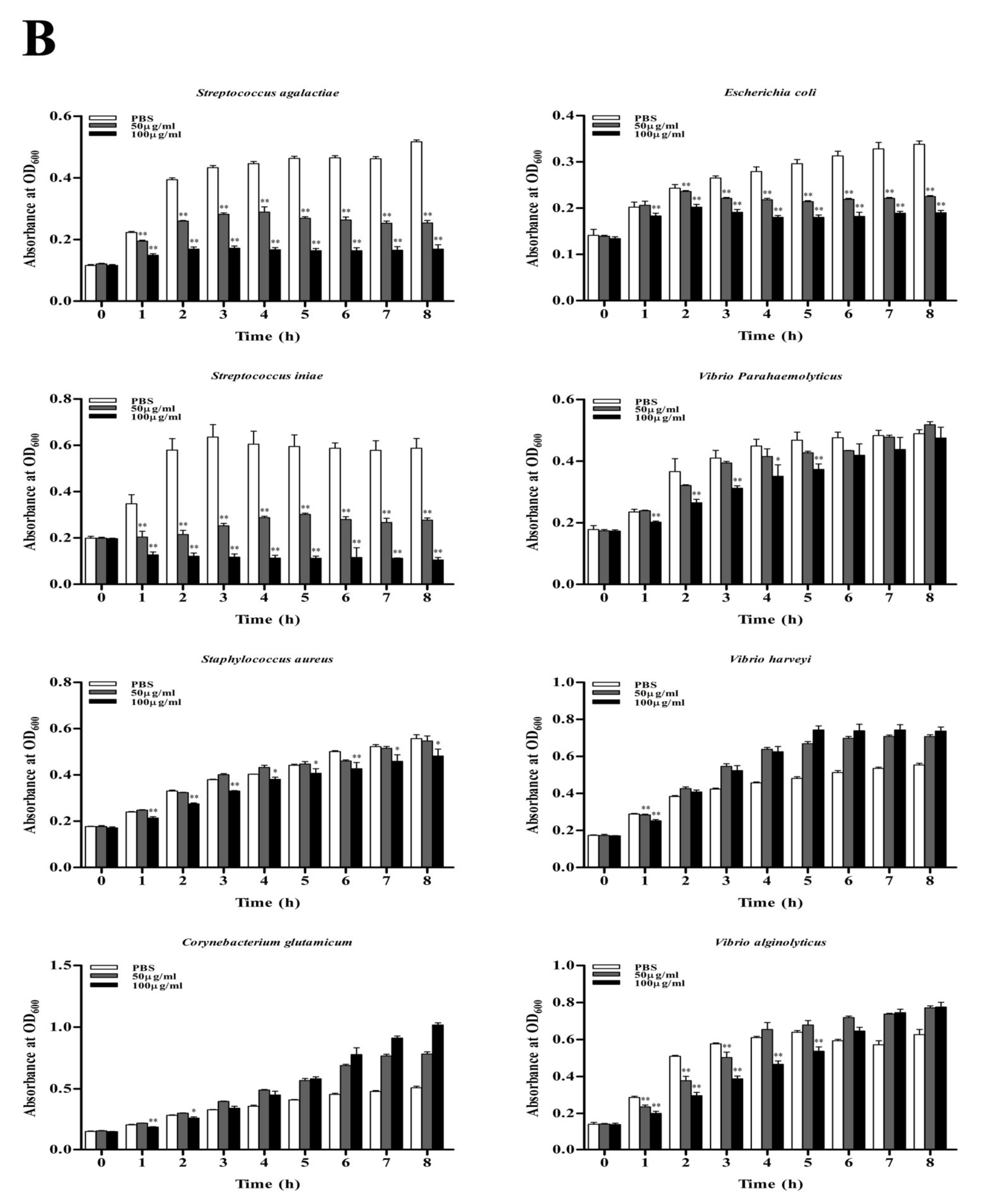 Genes 14 00826 g007b Genes 14 00826 g007b