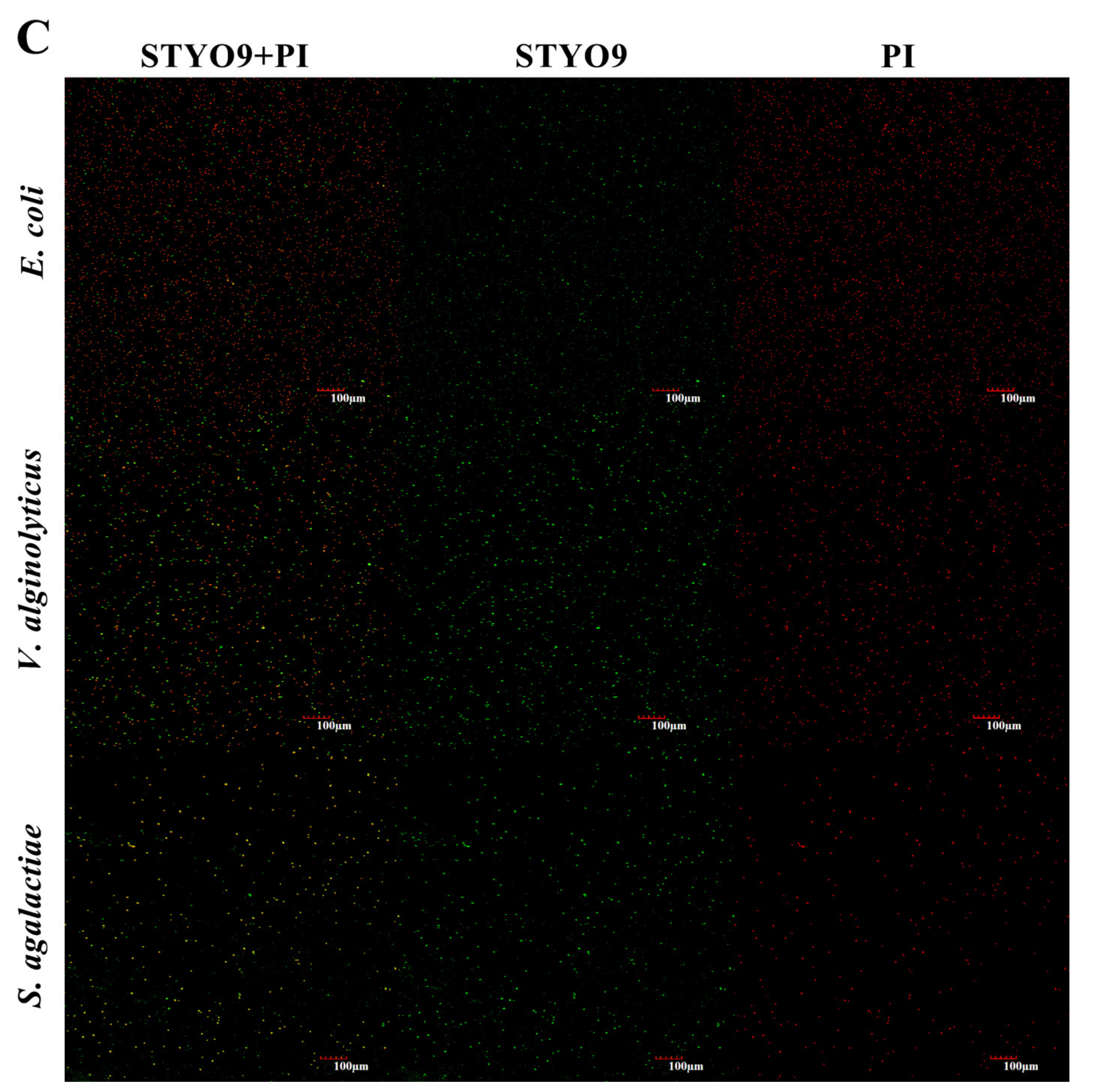 Genes 14 00826 g008b Genes 14 00826 g008b
