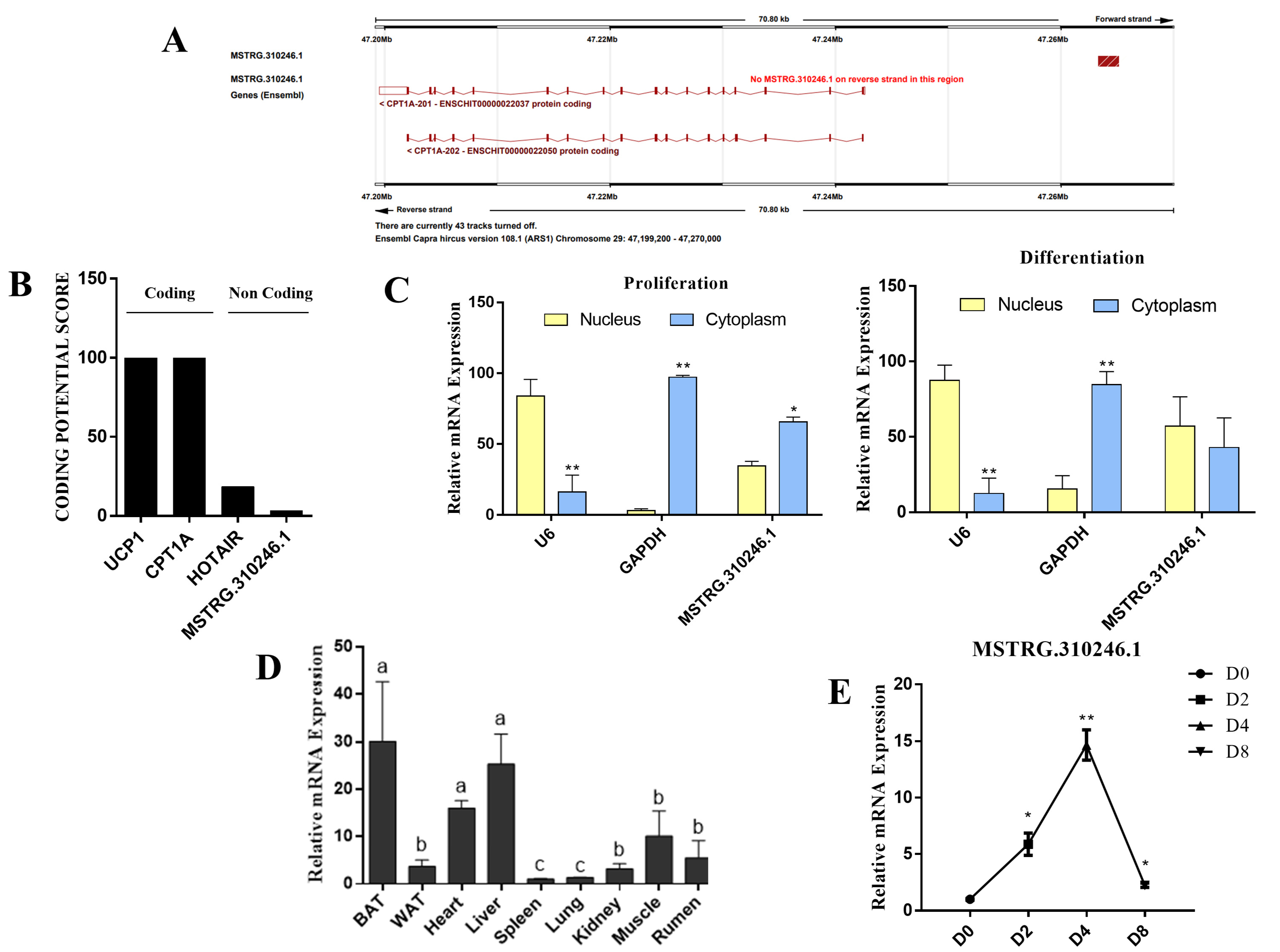 Genes 14 00833 g001 Genes 14 00833 g001