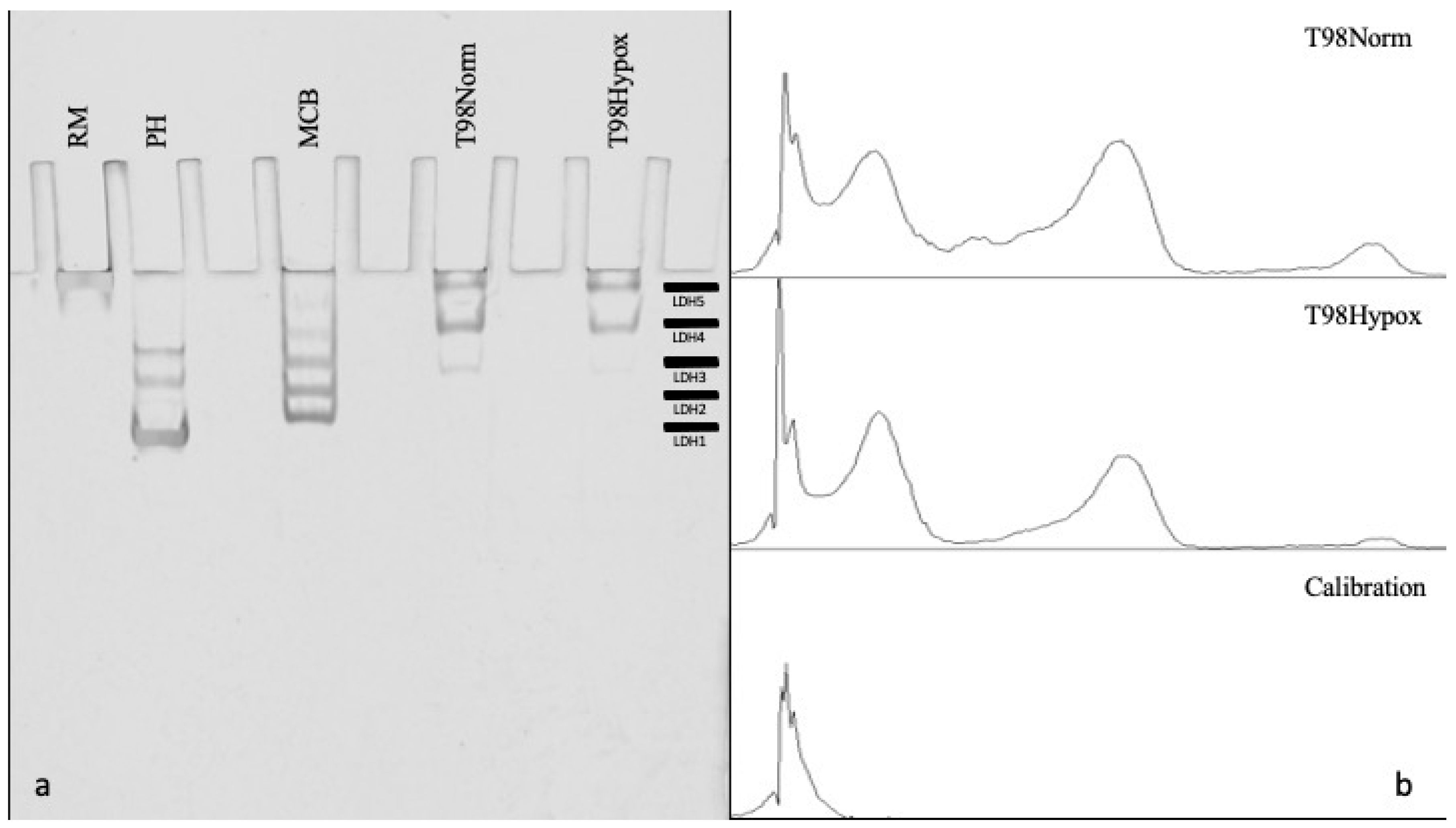 Genes 14 00841 g003 Genes 14 00841 g003