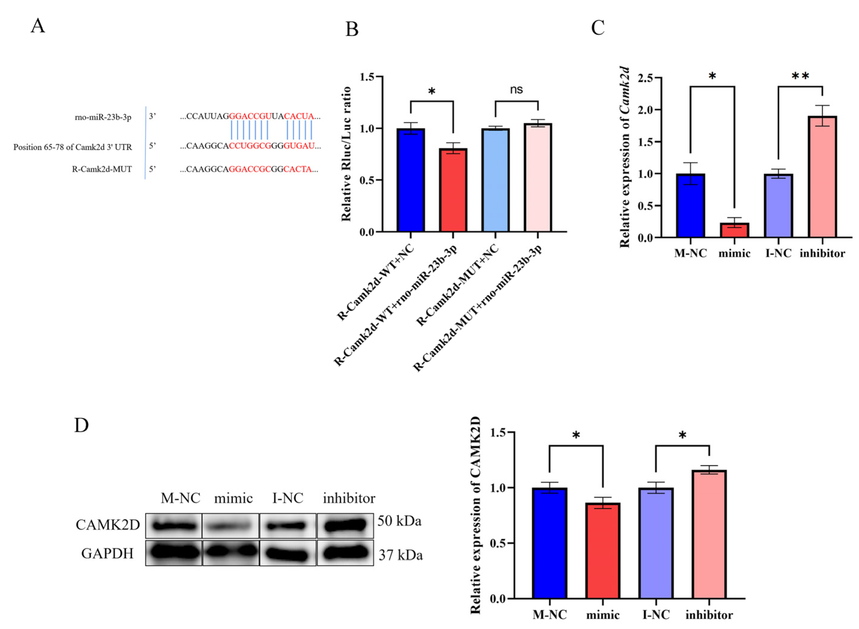 Genes 14 00846 g008 Genes 14 00846 g008
