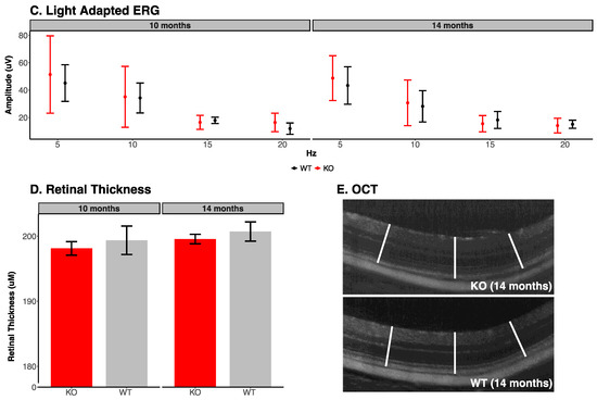 Optical Coherence Tomography: Imaging Mouse Retinal Ganglion Cells