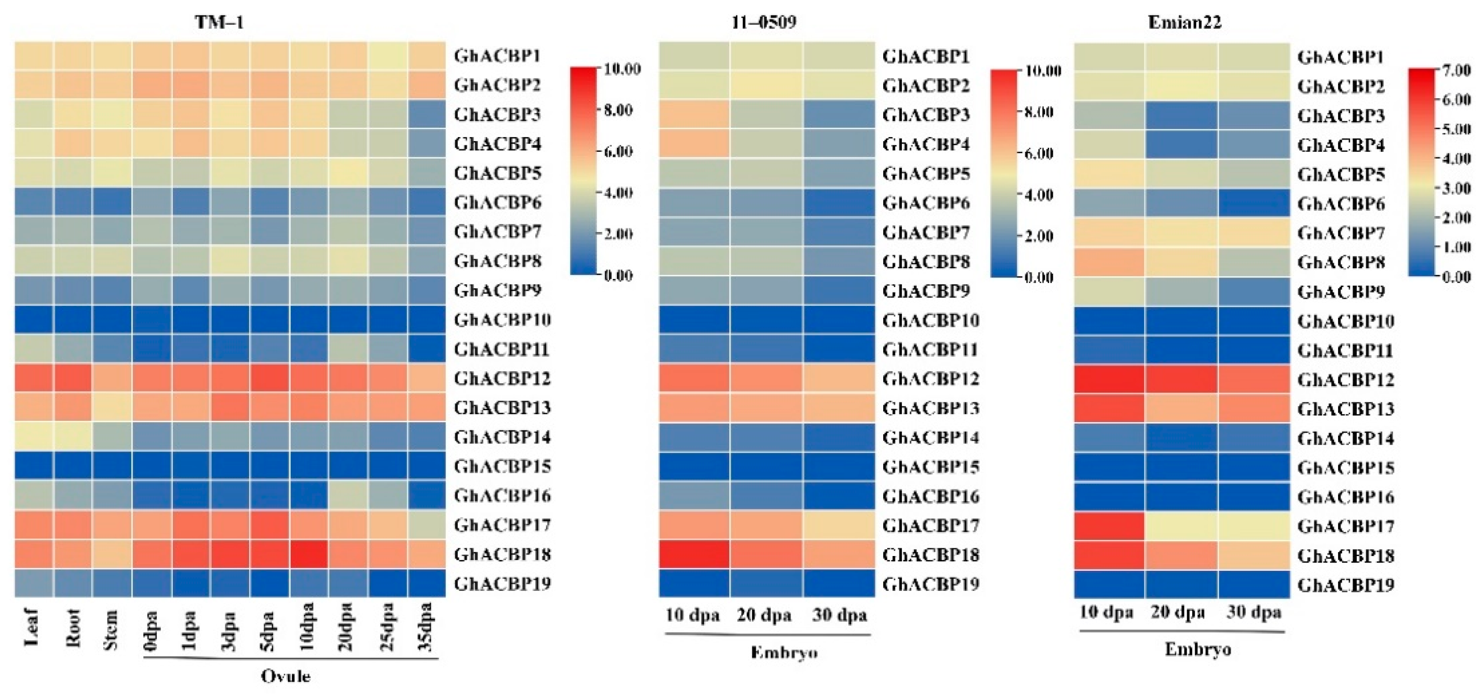 Genes | Free Full-Text | Molecular Characterization of the Acyl-CoA ...