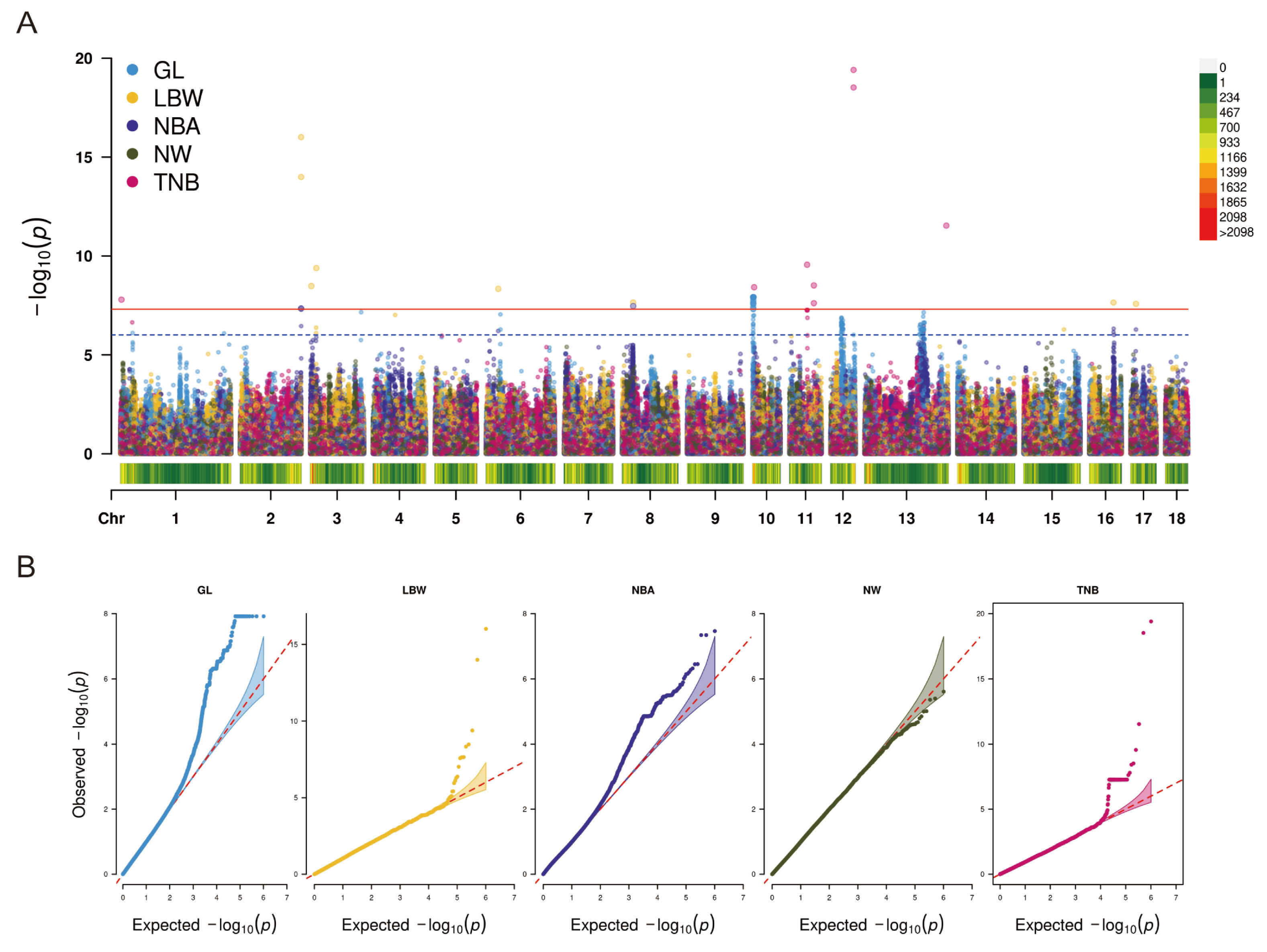 Frontiers  Imputation to whole-genome sequence and its use in genome-wide  association studies for pork colour traits in crossbred and purebred pigs