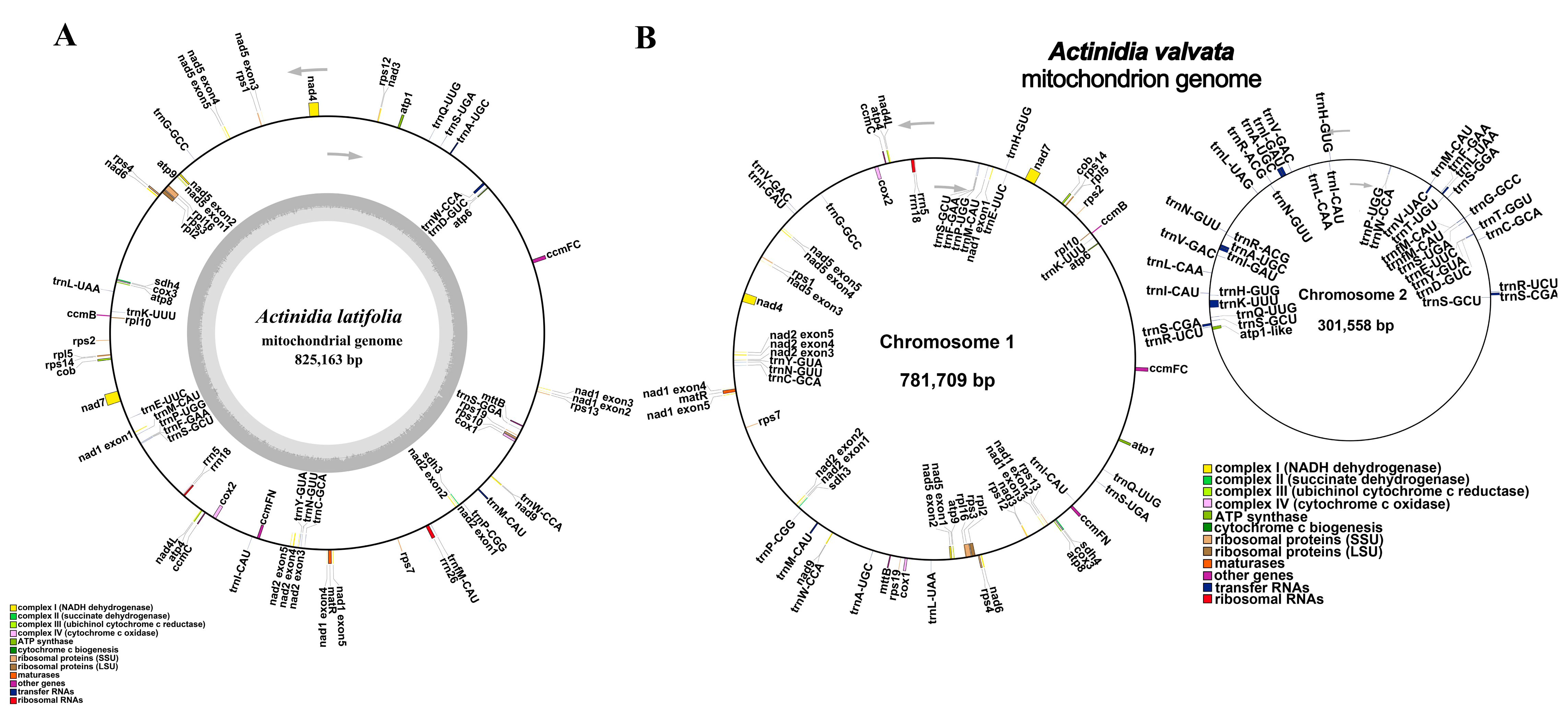 Genes 14 00863 g001 Genes 14 00863 g001
