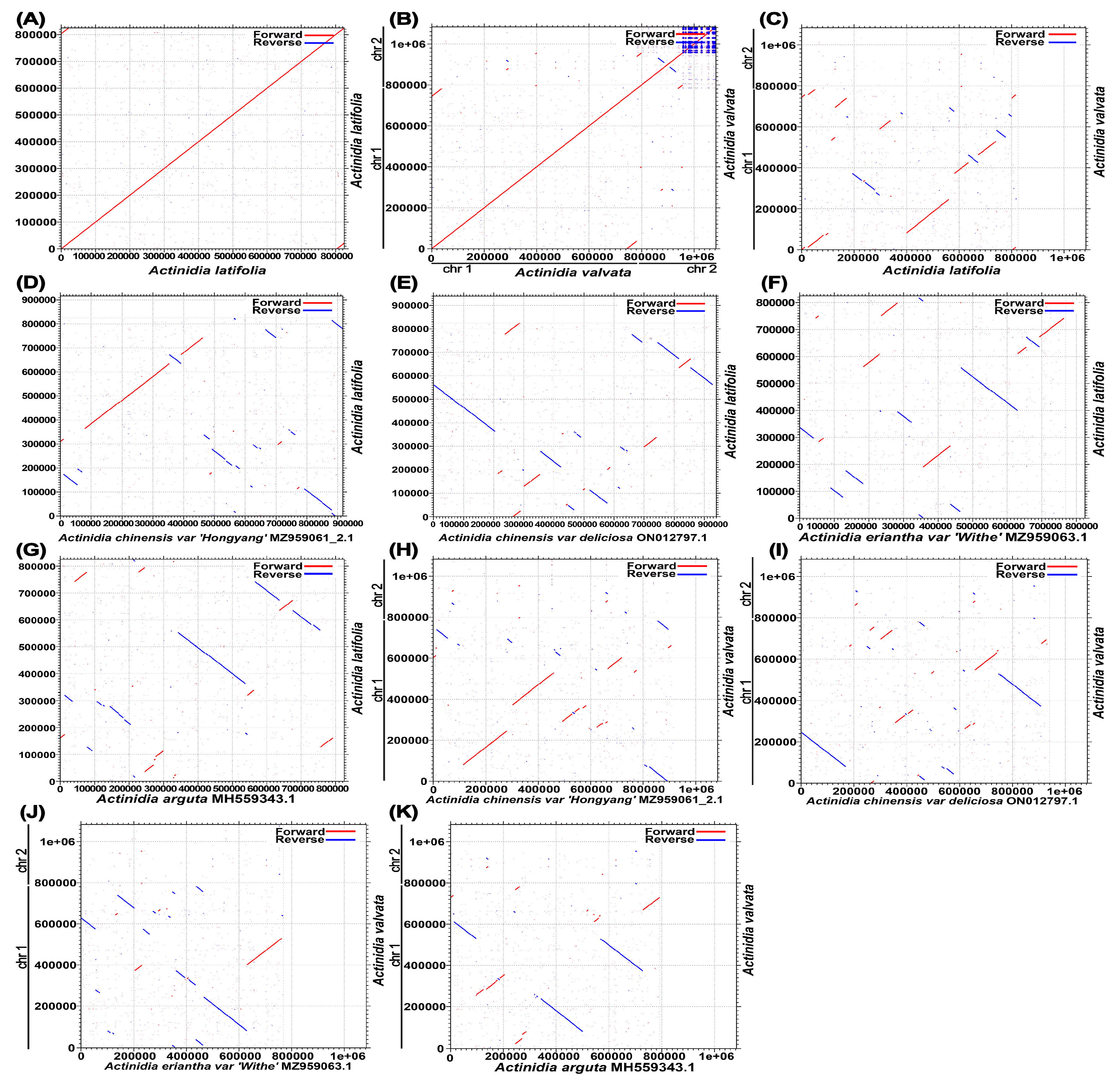 Genes 14 00863 g002 Genes 14 00863 g002